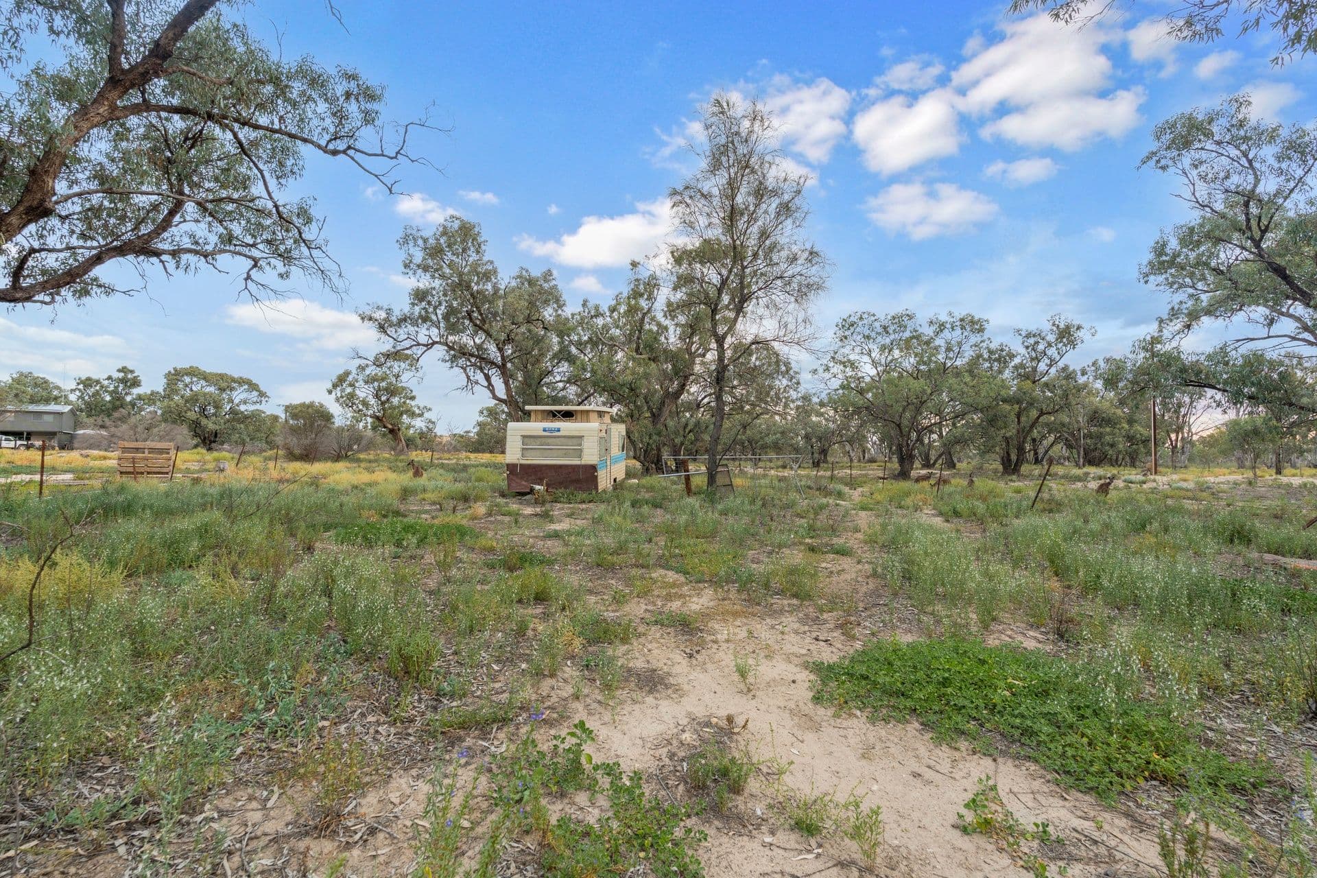 47 Page Drive, Blanchetown SA 5357, Blanchetown - Thumbnail 8