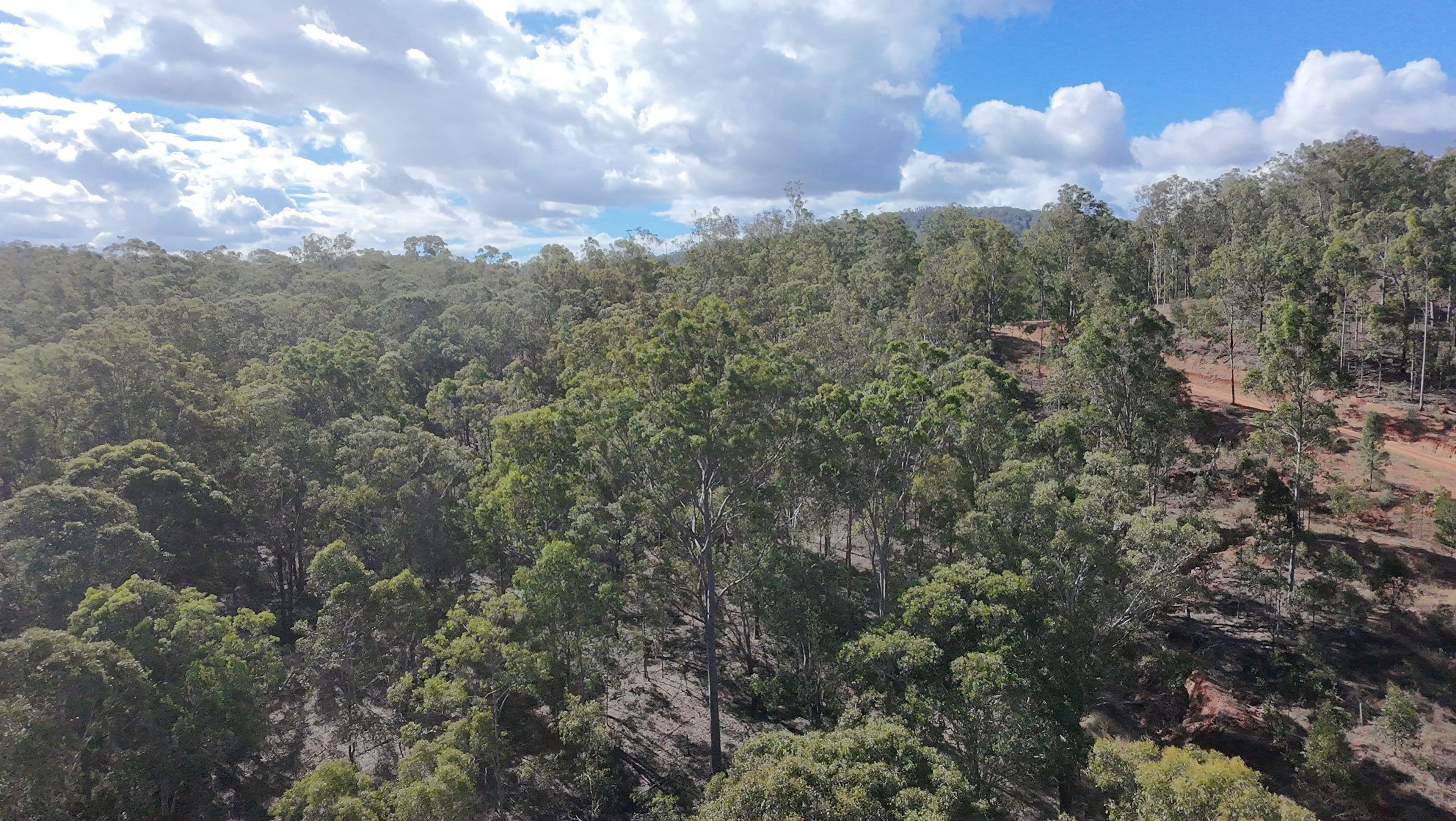 Lot 1 Red Gap Road, Mulgowie QLD 4341, Mulgowie - Thumbnail 4