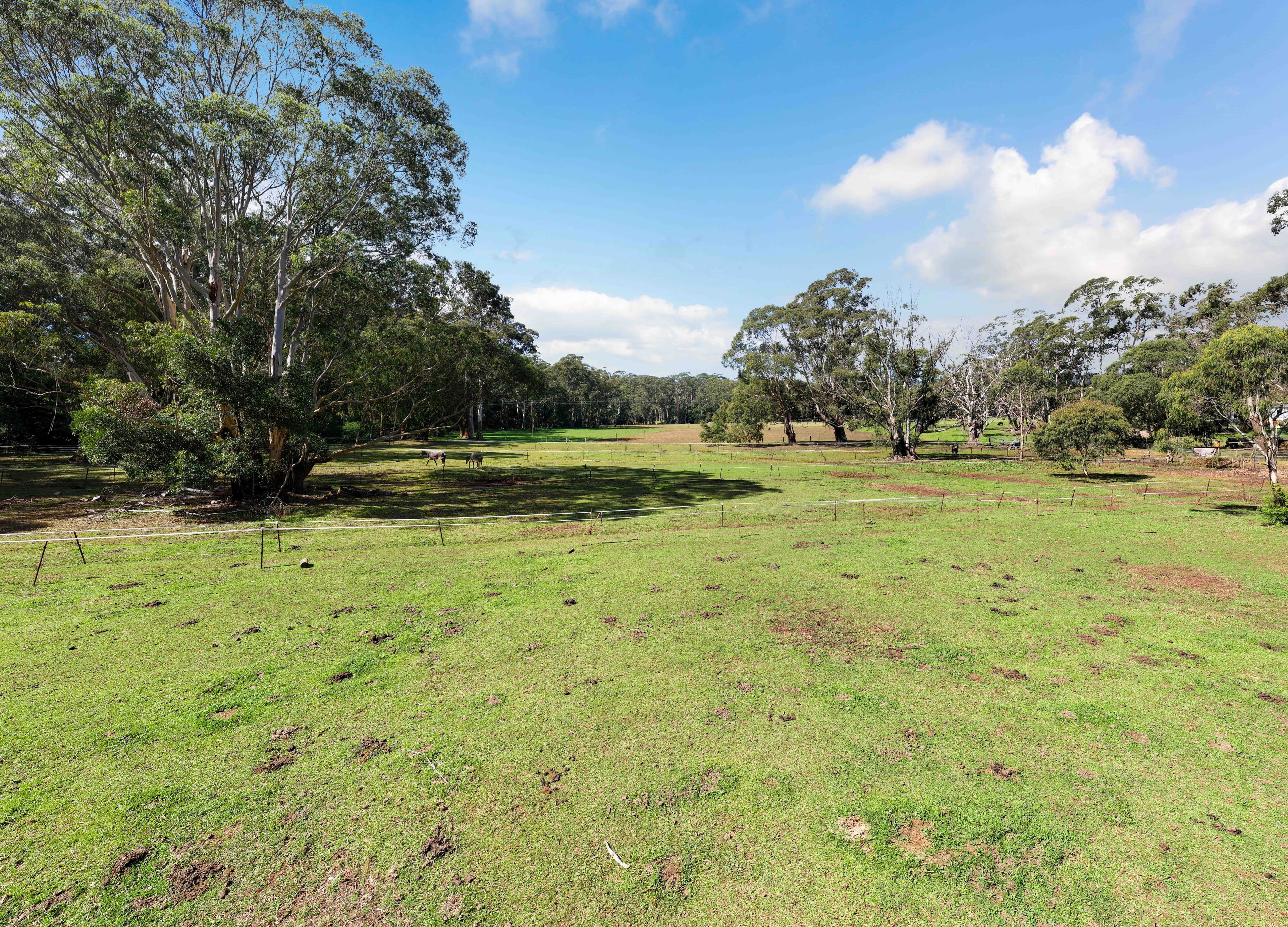 1738 Jamberoo Mountain Road, Knights Hill NSW 2577, Knights Hill - Thumbnail 3