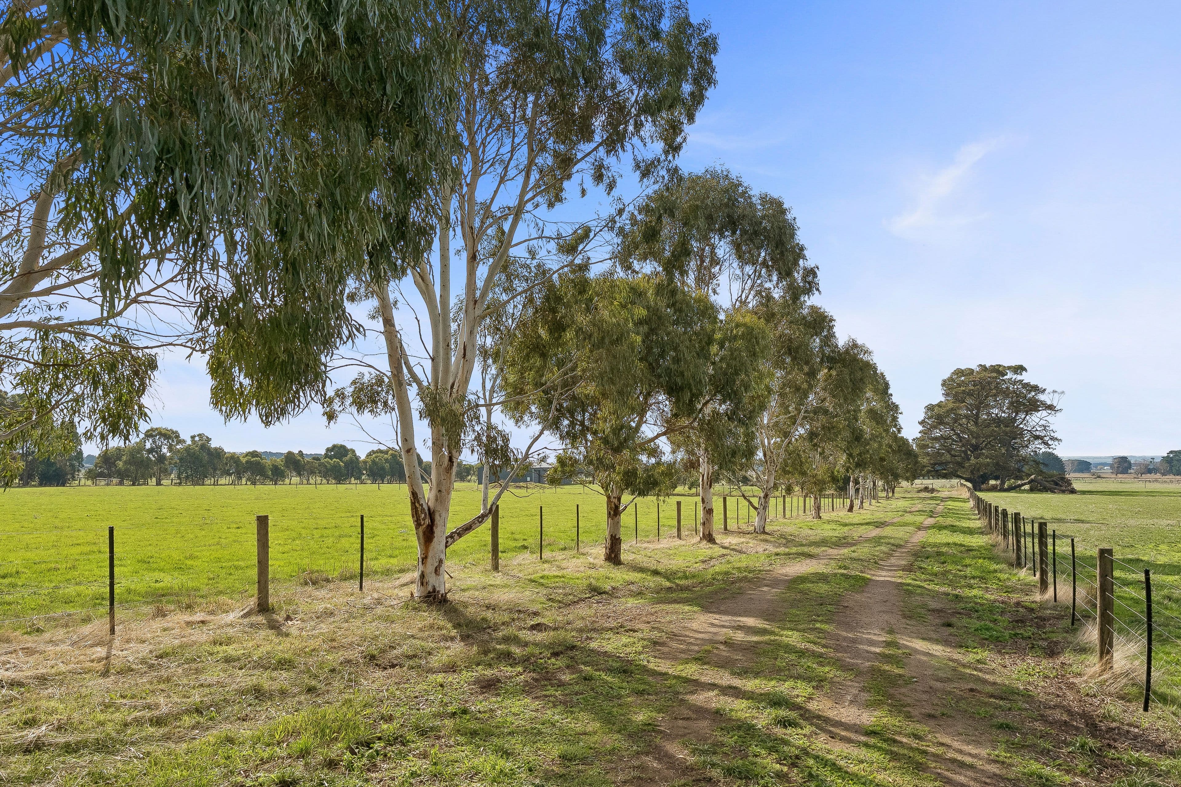 98 Gnotuk Road, Camperdown VIC 3260, Camperdown - Thumbnail 5