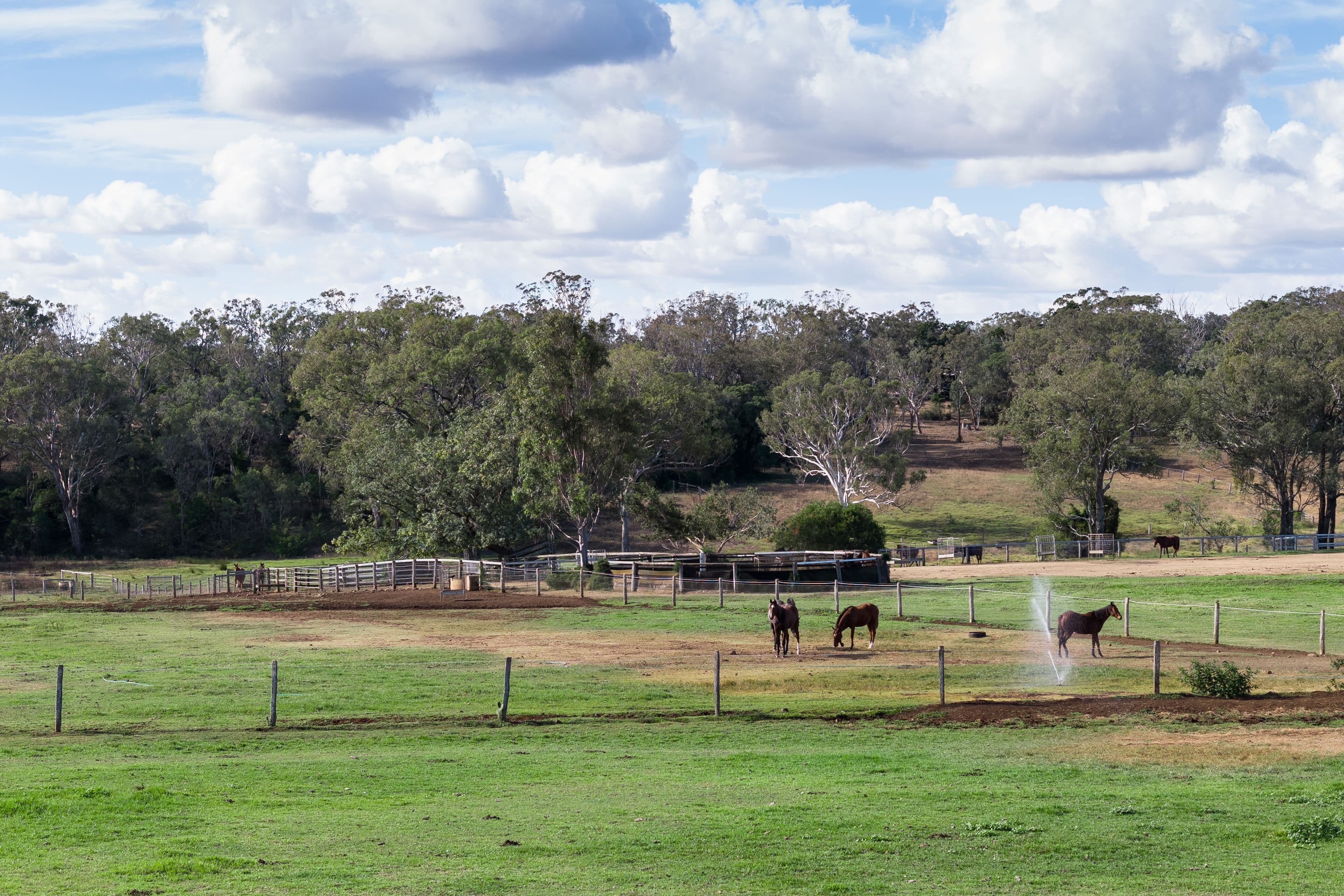 172 Cawdor Drive, Cawdor QLD 4352, Cawdor - Thumbnail 7