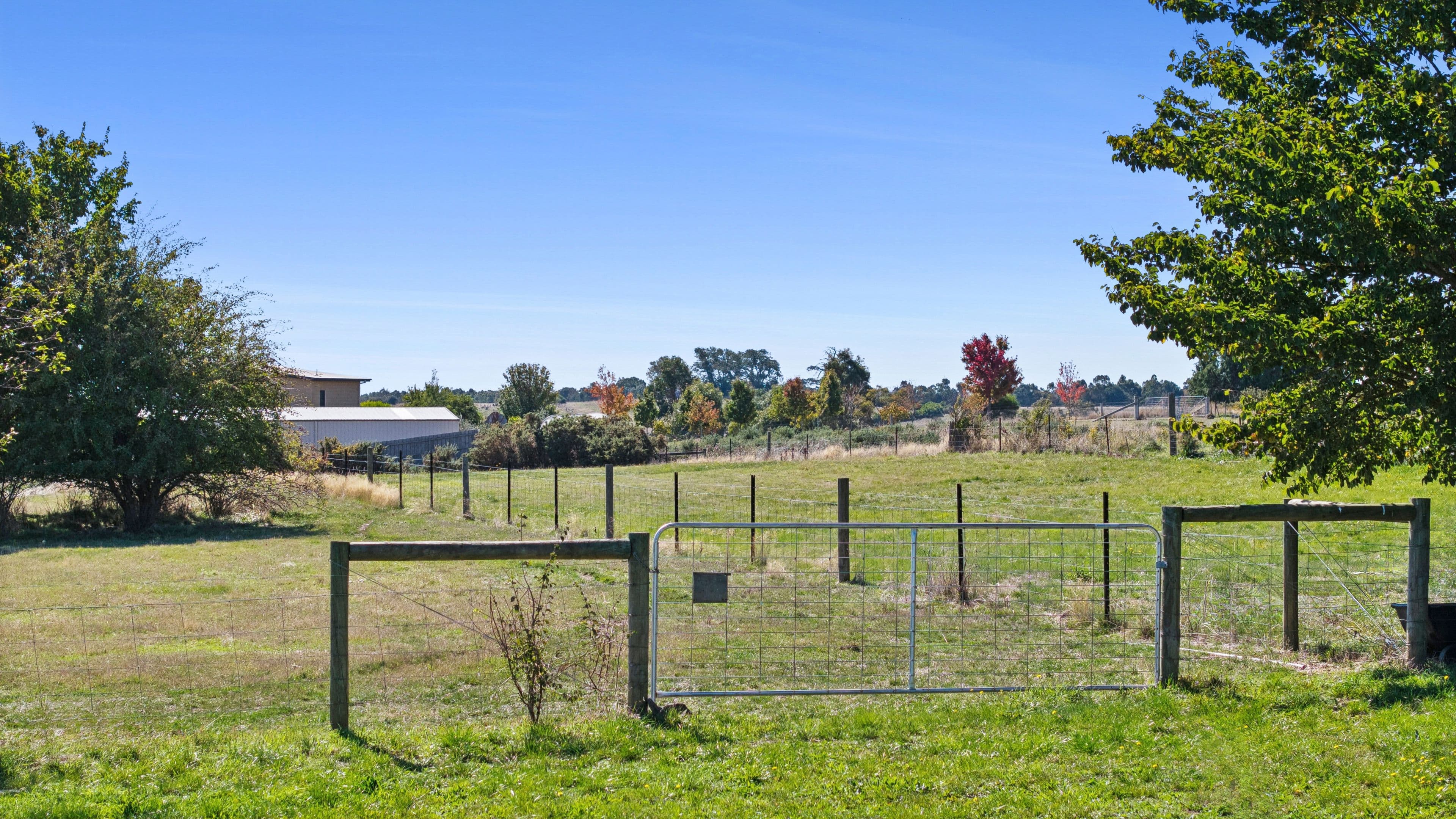6 Young Street, Malmsbury VIC 3446, Malmsbury - Thumbnail 5