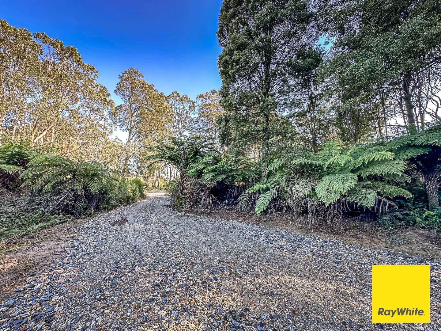 946 Toora - Gunyah Road, Mount Best VIC 3960, Mount Best - Thumbnail 4