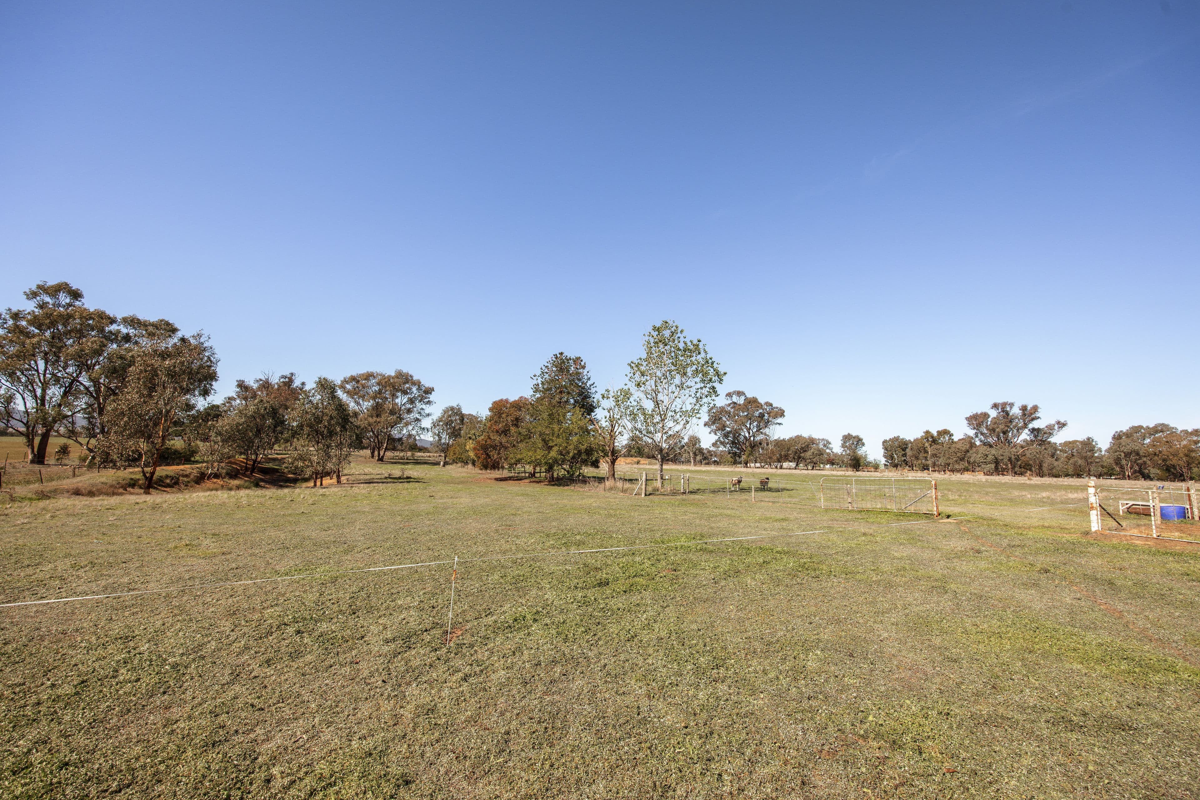 1 Margaret Street, Gerogery NSW 2642, Gerogery - Thumbnail 4