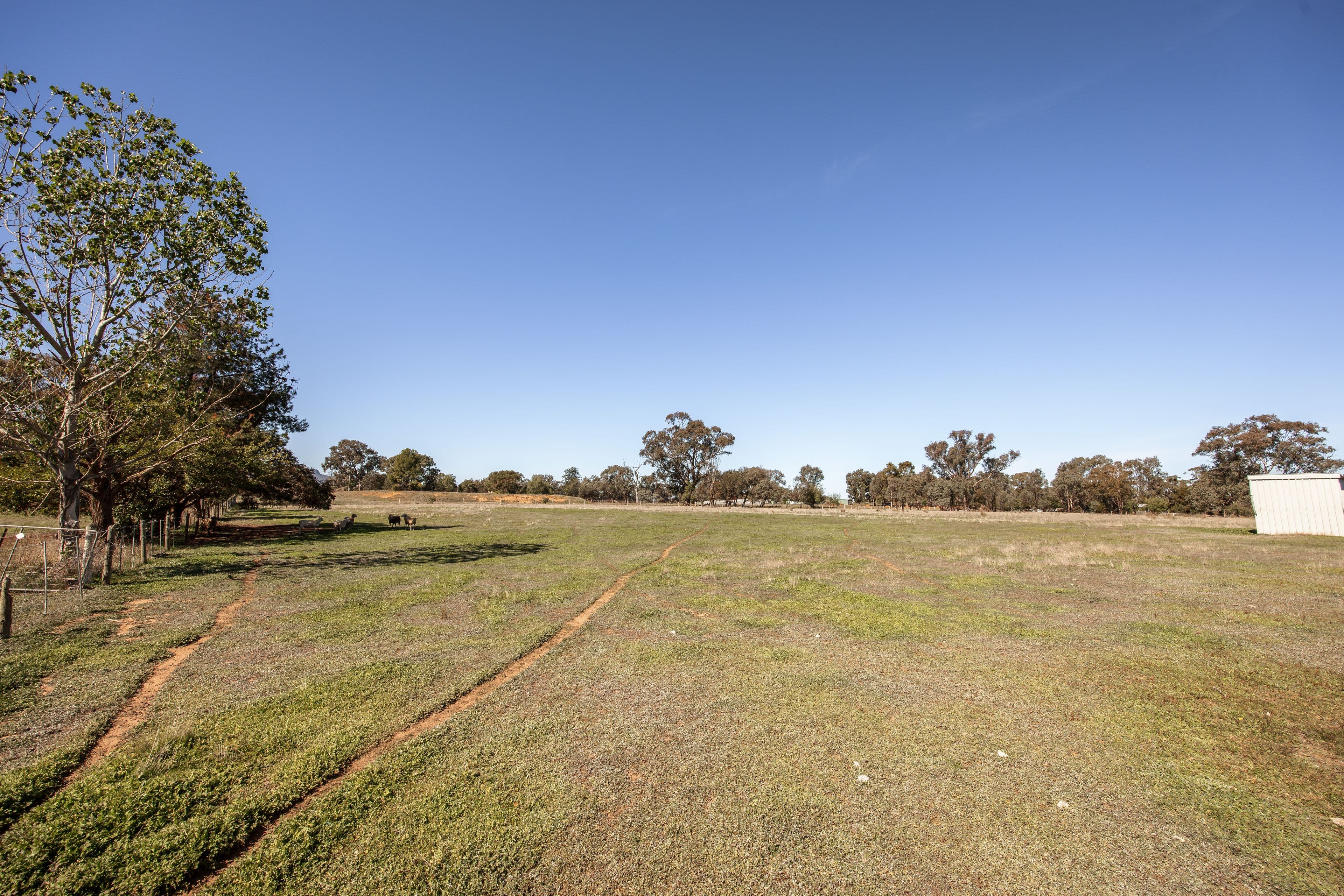 1 Margaret Street, Gerogery NSW 2642, Gerogery - Thumbnail 5
