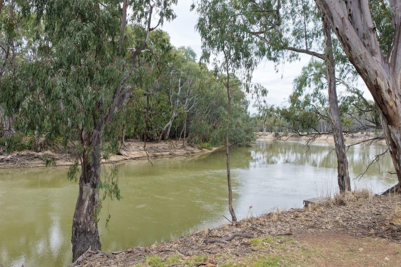 31 ARMSTRONG Drive, Barham NSW 2732, Barham - Thumbnail 2