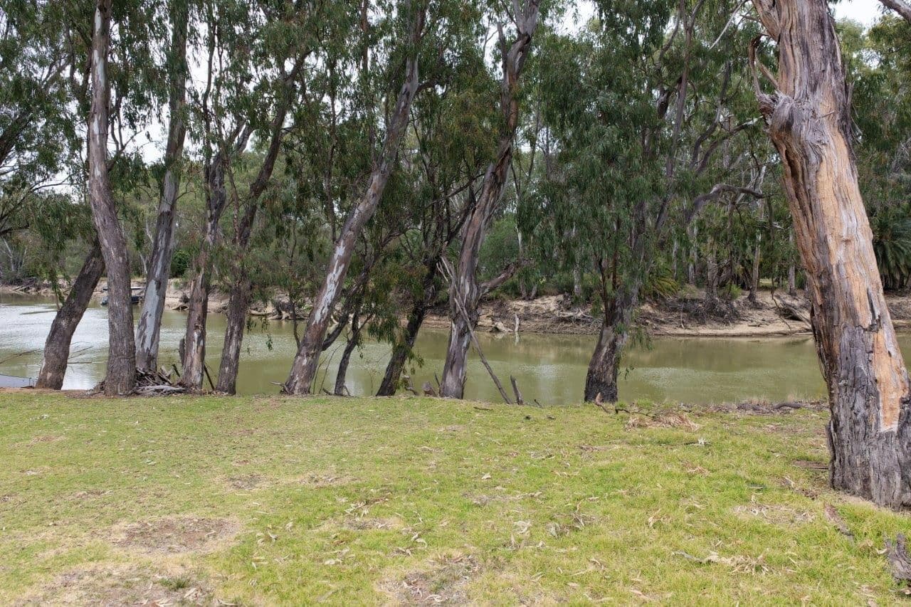 31 ARMSTRONG Drive, Barham NSW 2732, Barham - Thumbnail 3
