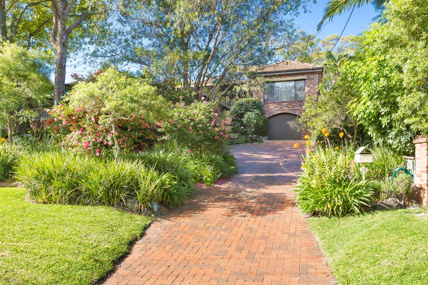 54 Young Street, Sylvania - Image 1