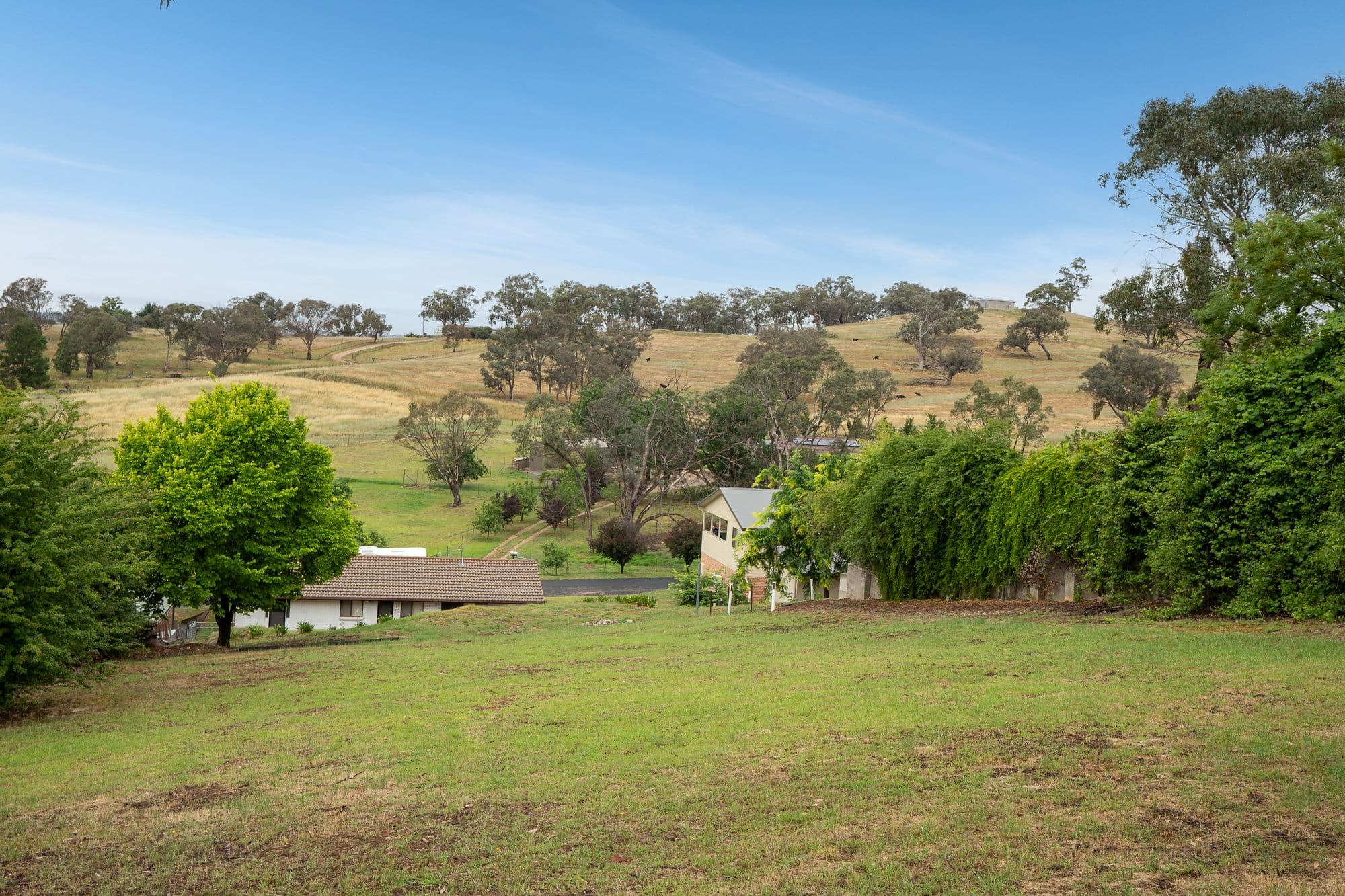 16 McArdle Street, Molong NSW 2866, Molong - Thumbnail 5