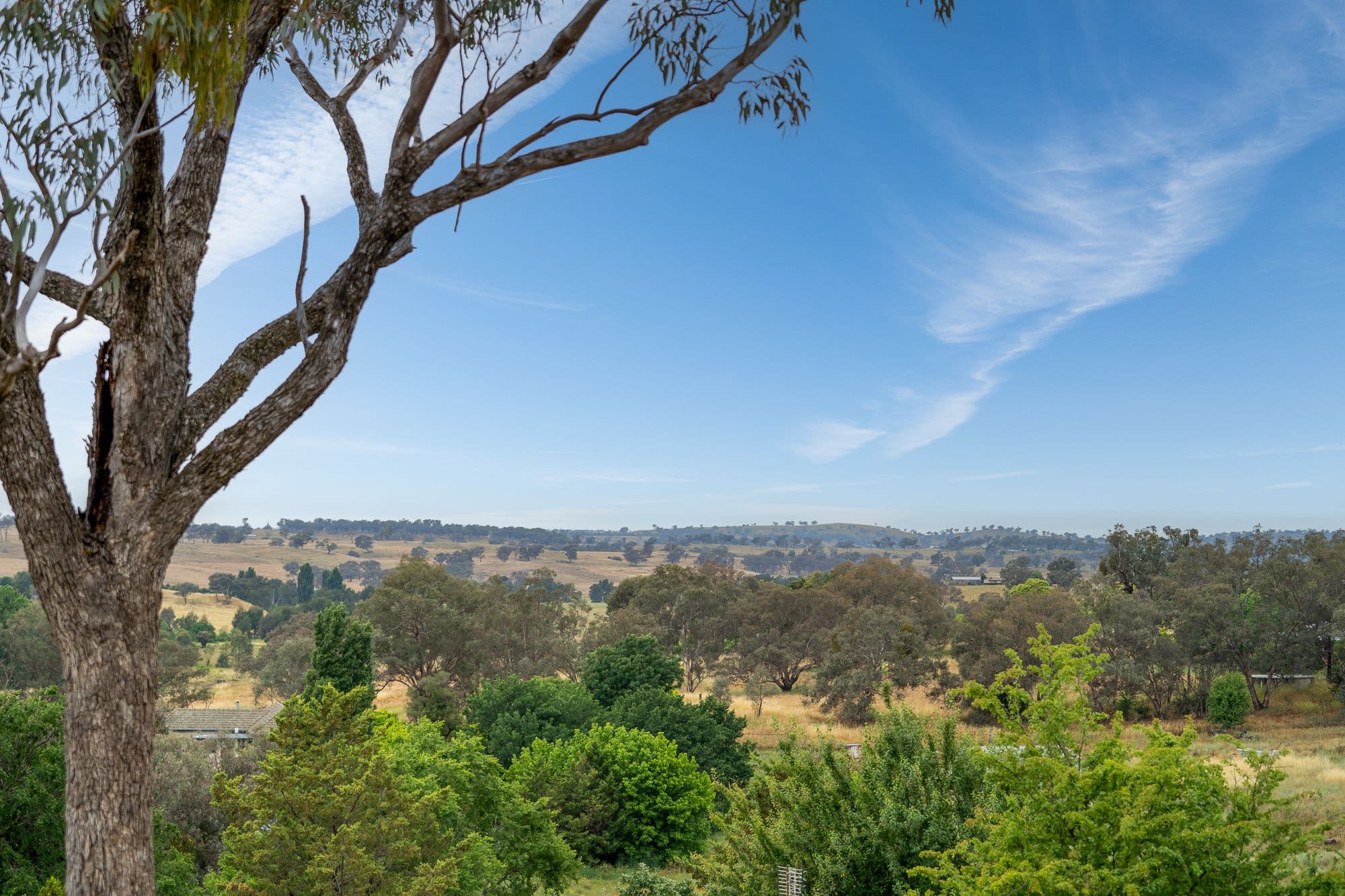 16 McArdle Street, Molong NSW 2866, Molong - Thumbnail 6