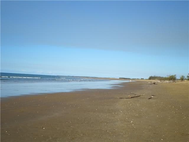 316 Sylvan Drive, Moore Park Beach QLD 4670, Moore Park Beach - Thumbnail 2