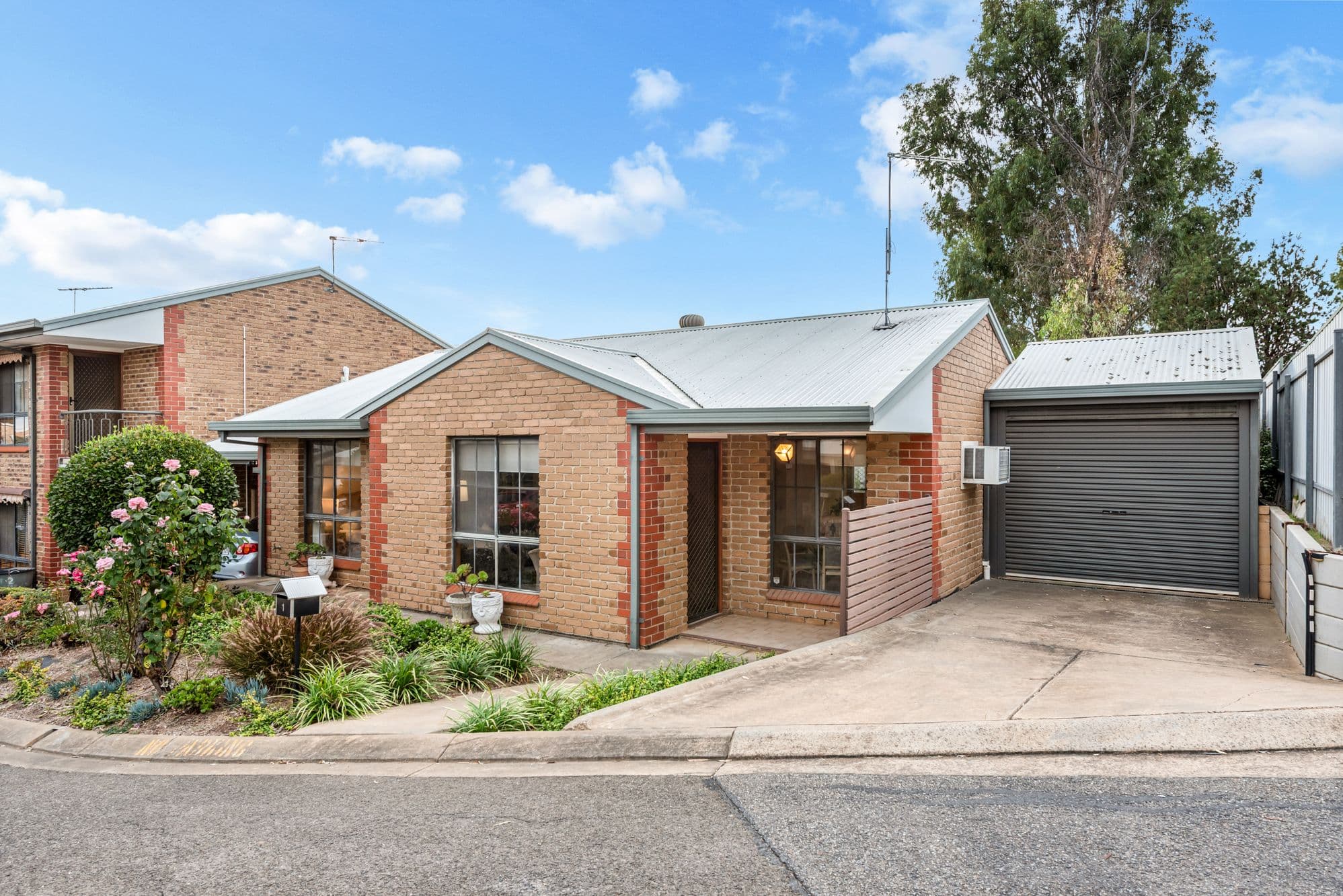 1/15 Tretter Street, Morphett Vale SA 5162, Morphett Vale - Thumbnail 3