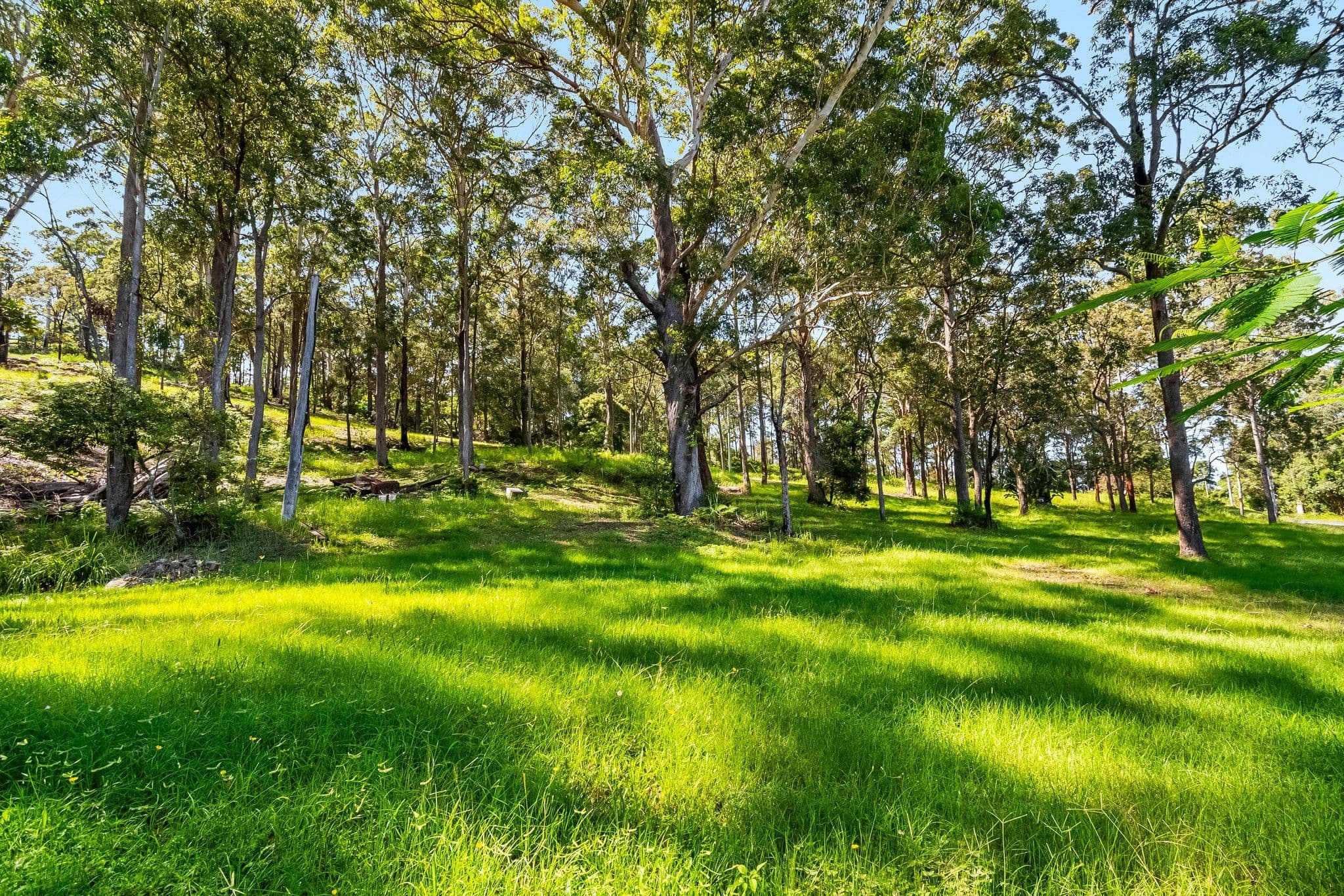 712 Broadwater Road, Broadwater NSW 2472, Broadwater - Thumbnail 4