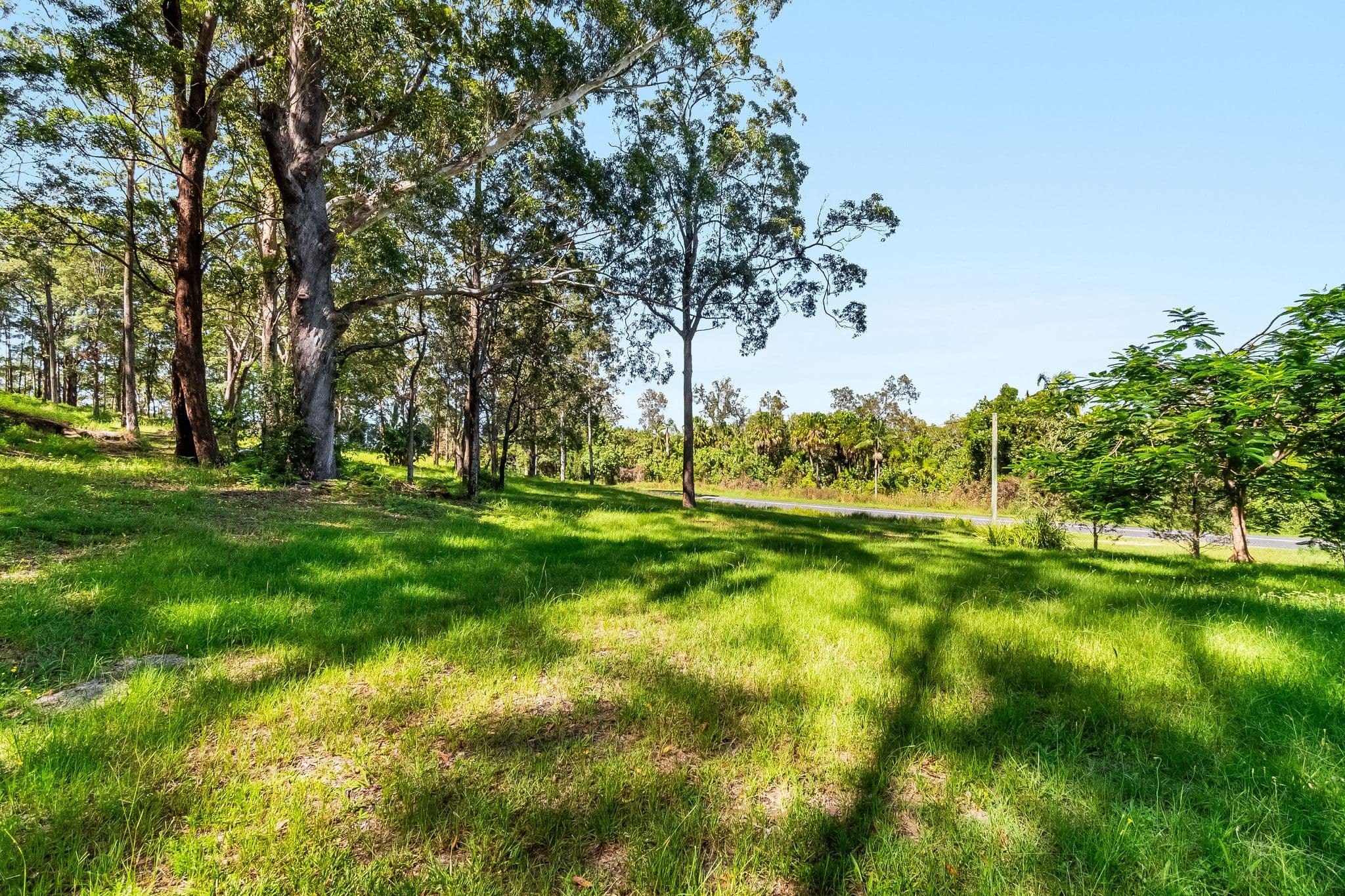 712 Broadwater Road, Broadwater NSW 2472, Broadwater - Thumbnail 5
