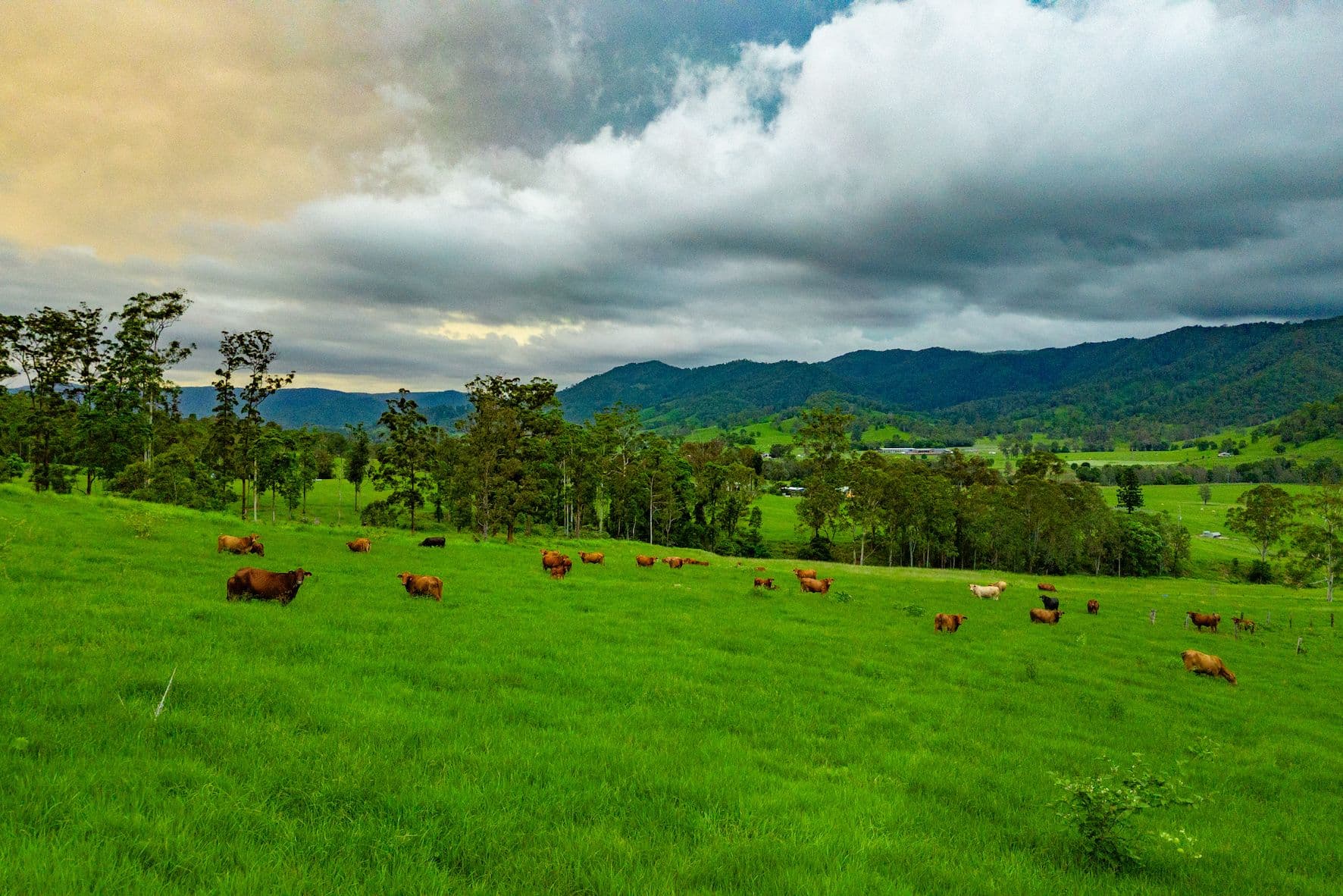 Cielo Verde Acres 922 Eastern Mary River Road, Cambroon QLD 4552, Cambroon - Image 1