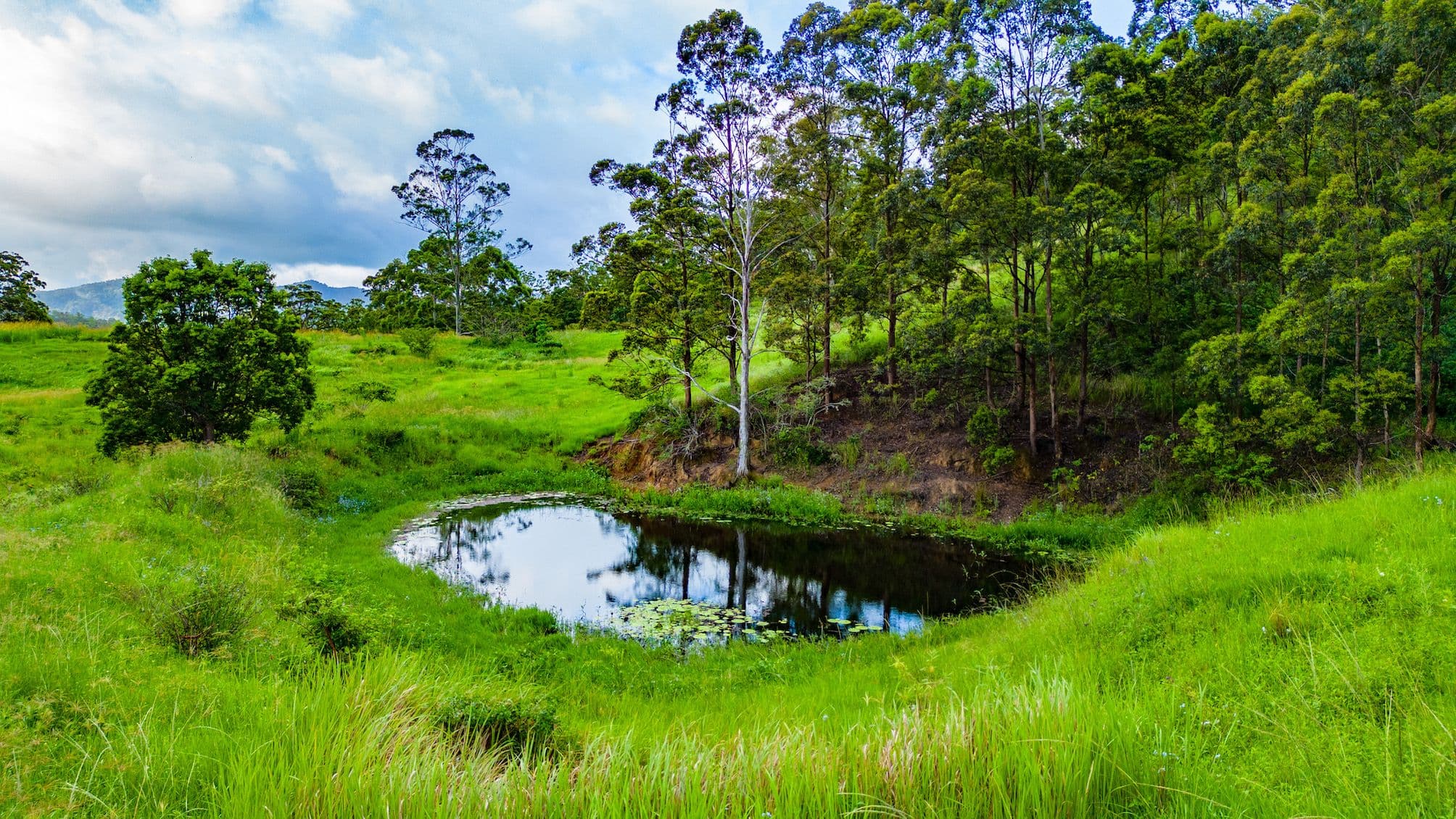 Cielo Verde Acres 922 Eastern Mary River Road, Cambroon QLD 4552, Cambroon - Thumbnail 8