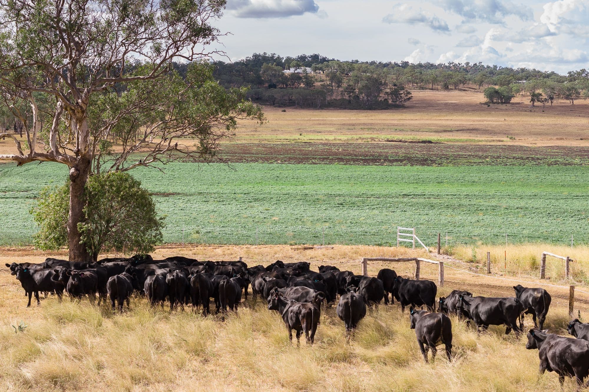 "Hi-View" 299 Hudson Road, Felton QLD 4358, Felton - Thumbnail 5