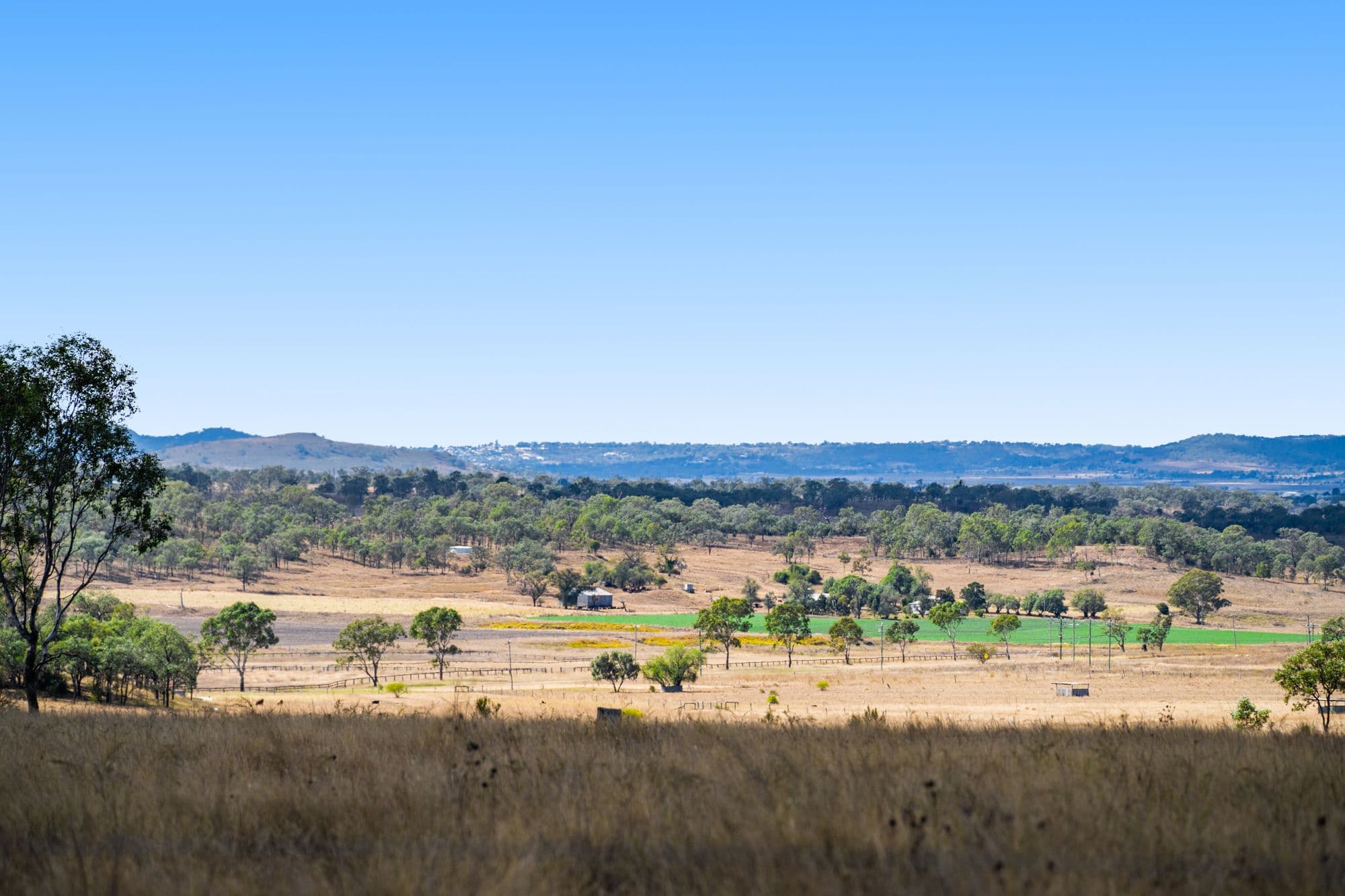"Springdale" 44 Whittaker Road, Southbrook QLD 4363, Southbrook - Thumbnail 3