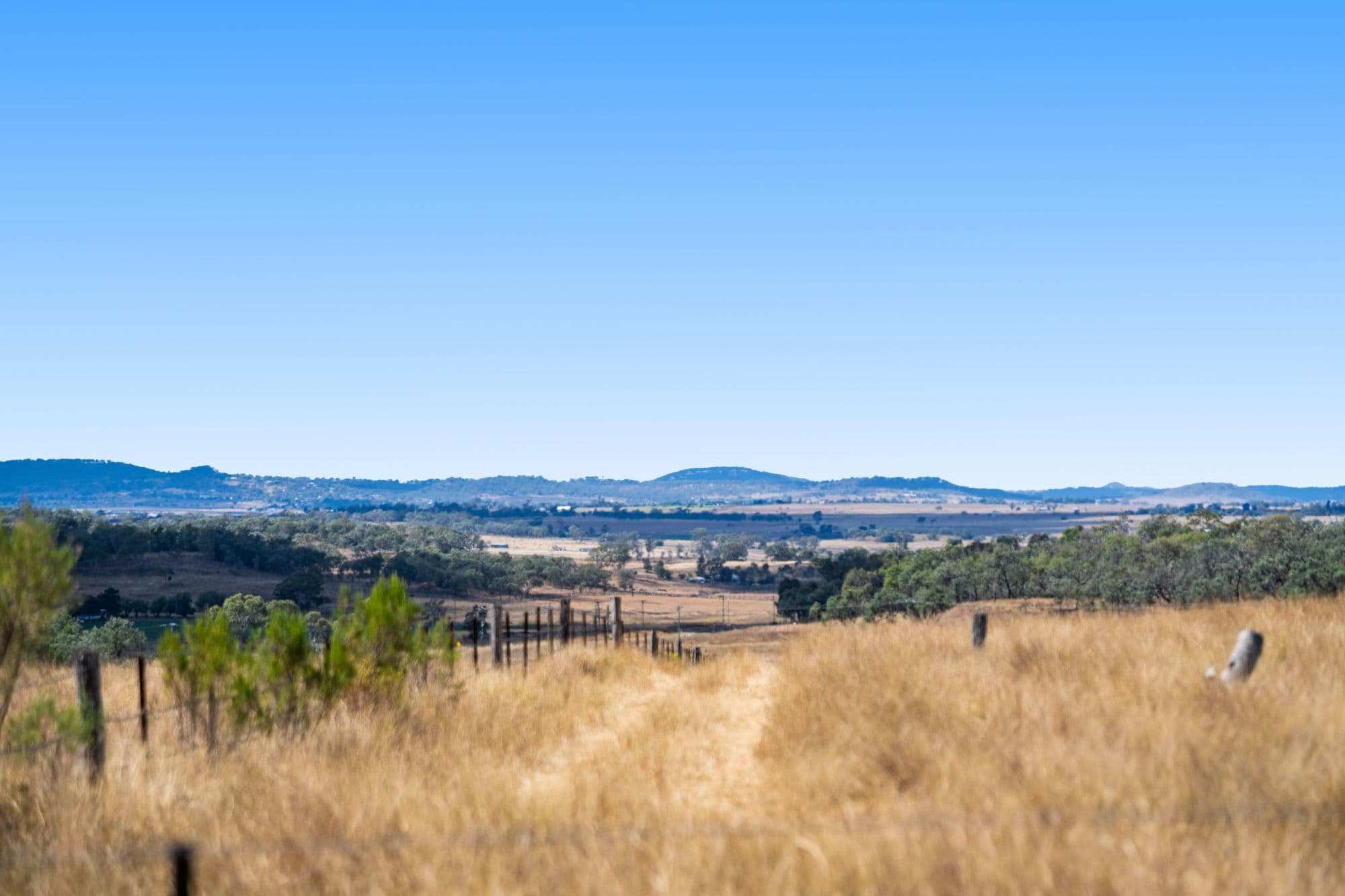"Springdale" 44 Whittaker Road, Southbrook QLD 4363, Southbrook - Thumbnail 6