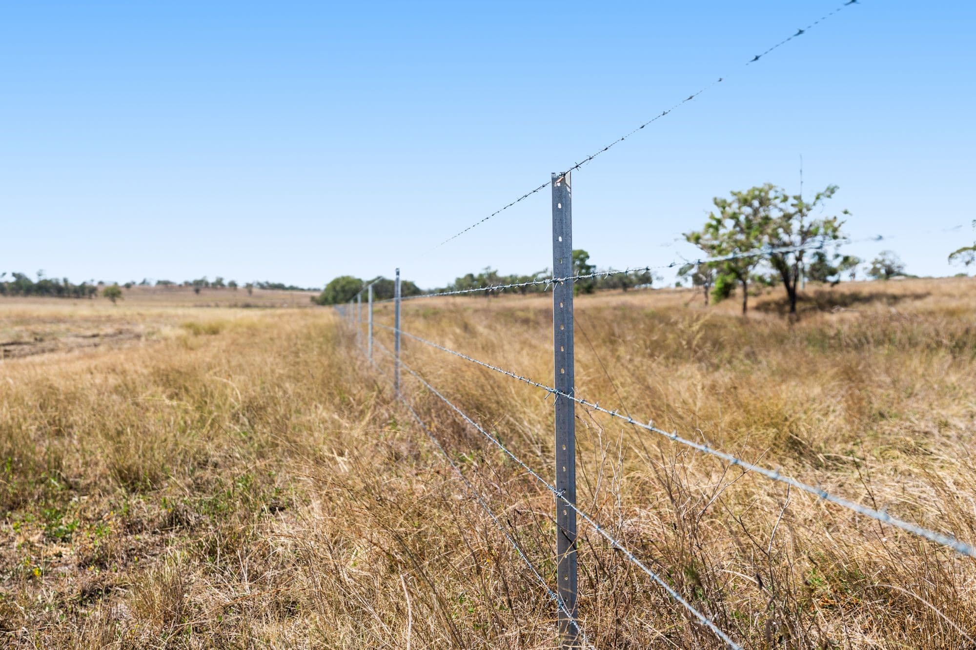 "Springdale" 44 Whittaker Road, Southbrook QLD 4363, Southbrook - Thumbnail 7