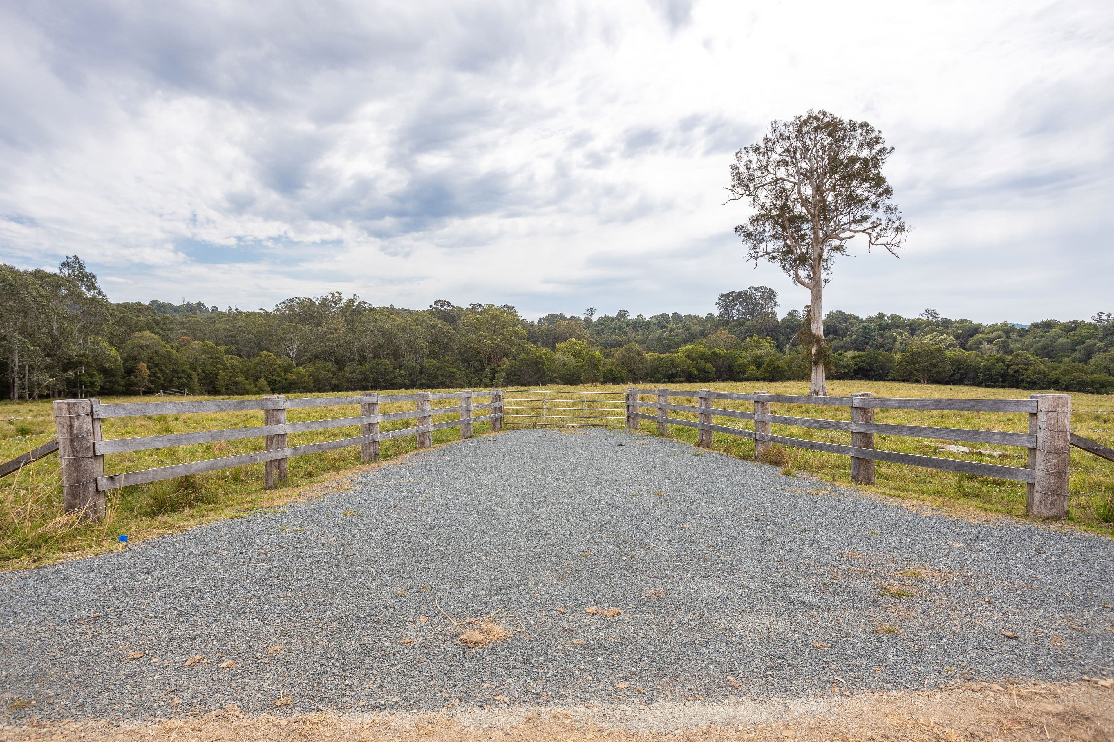 180 Norries Road, Bunyah NSW 2429, Bunyah - Thumbnail 3
