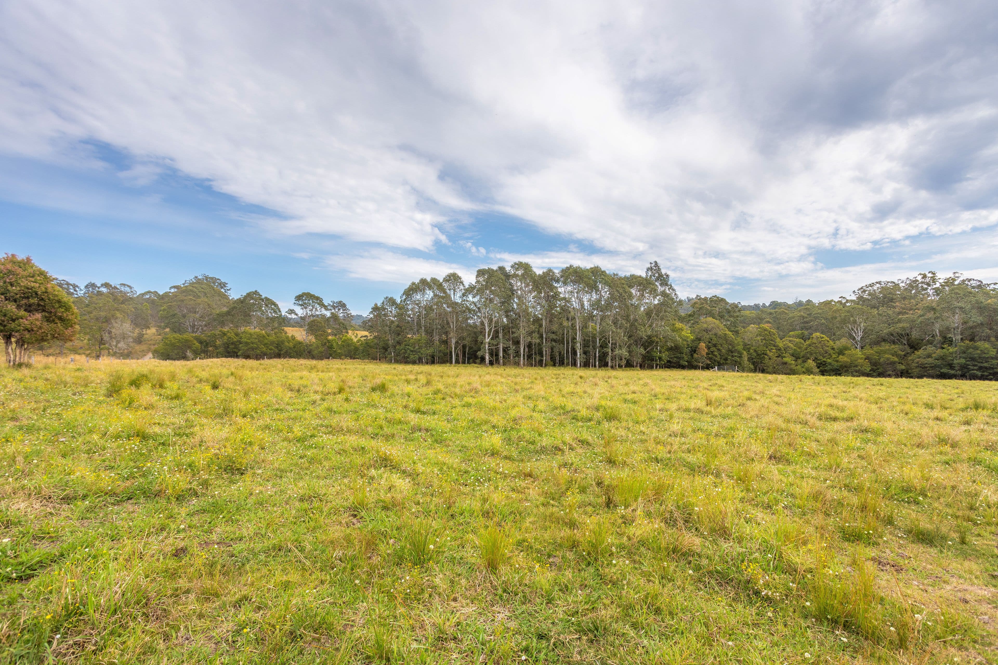180 Norries Road, Bunyah NSW 2429, Bunyah - Thumbnail 4