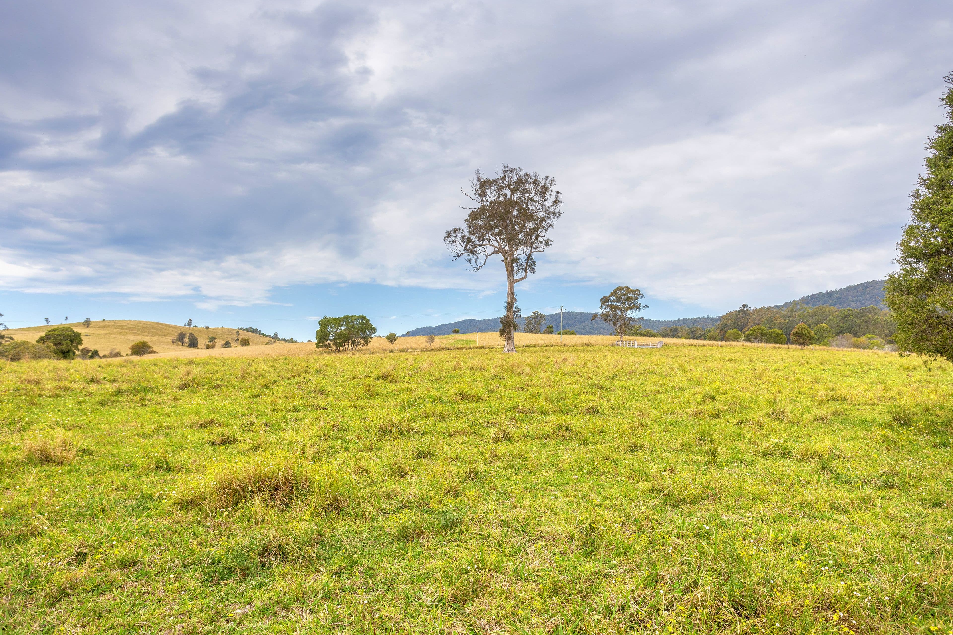 180 Norries Road, Bunyah NSW 2429, Bunyah - Thumbnail 5