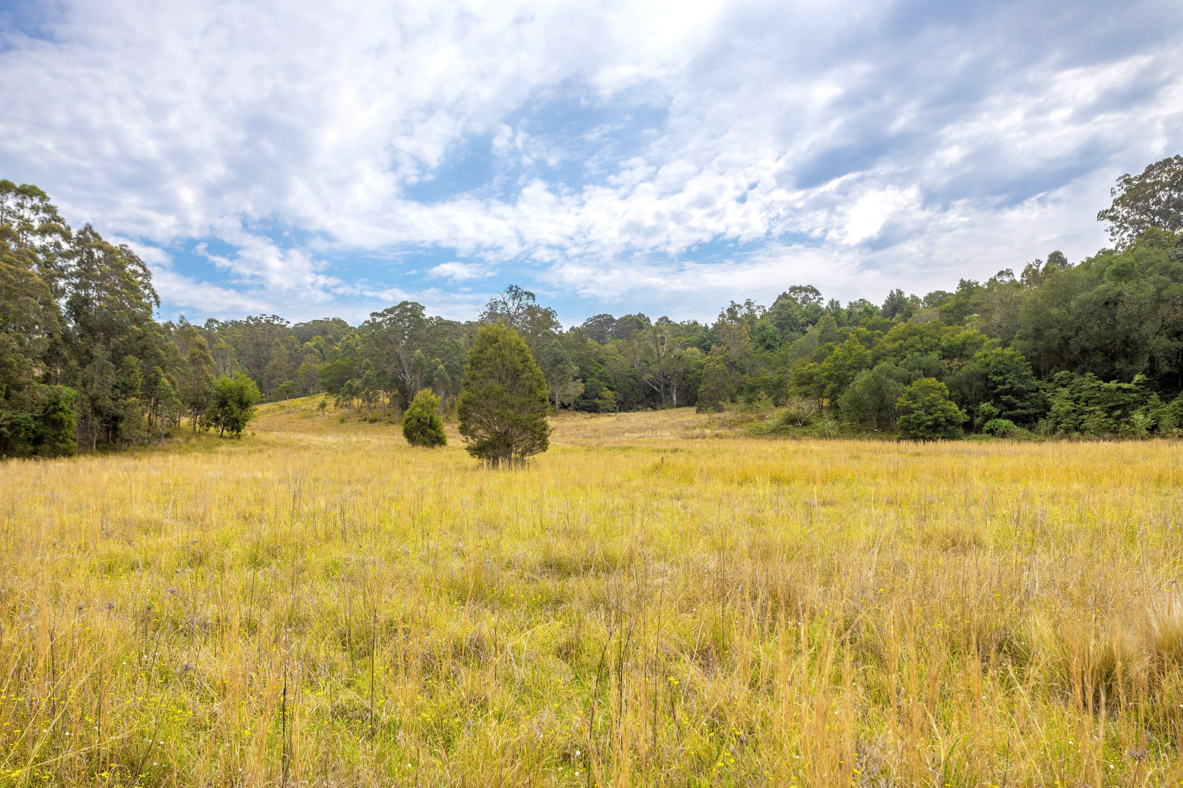 180 Norries Road, Bunyah NSW 2429, Bunyah - Thumbnail 7