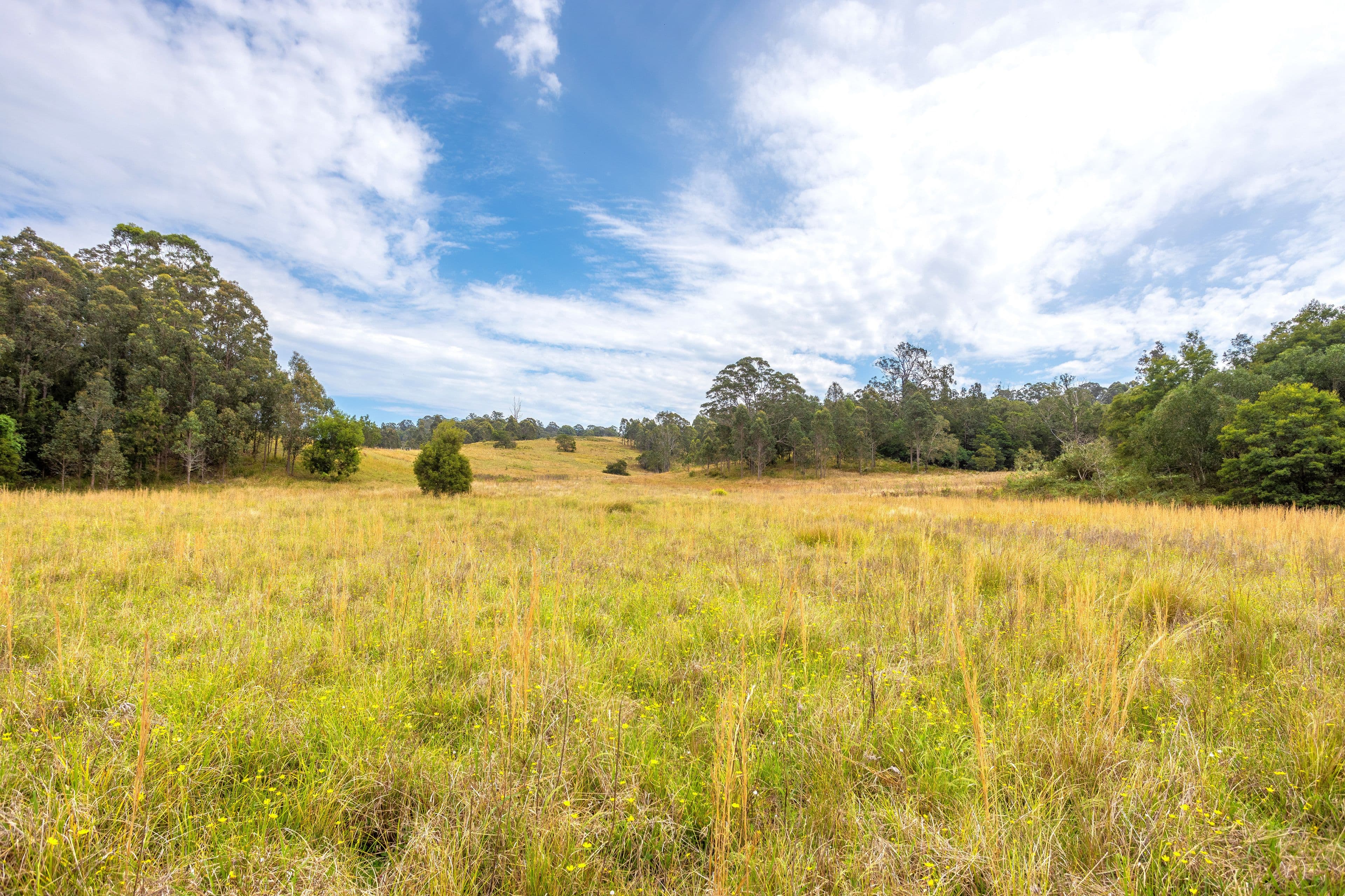180 Norries Road, Bunyah NSW 2429, Bunyah - Thumbnail 8