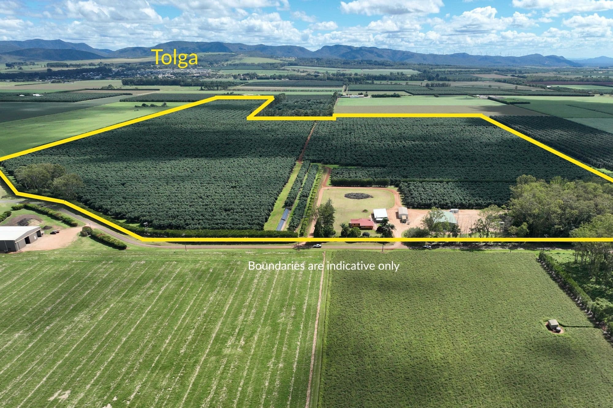 39 Yadjin Road, Tolga QLD 4882, Tolga - Image 1