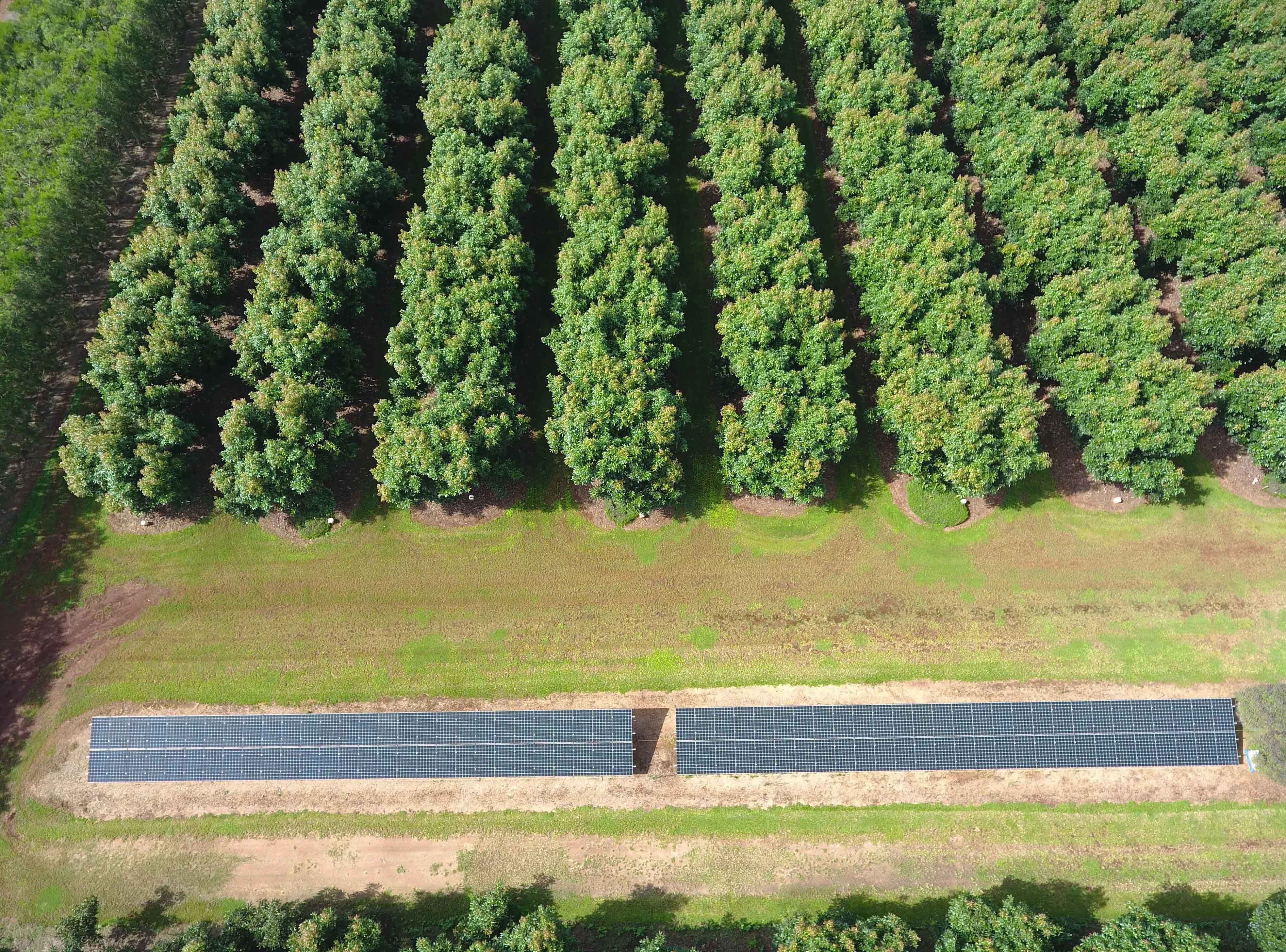39 Yadjin Road, Tolga QLD 4882, Tolga - Thumbnail 6