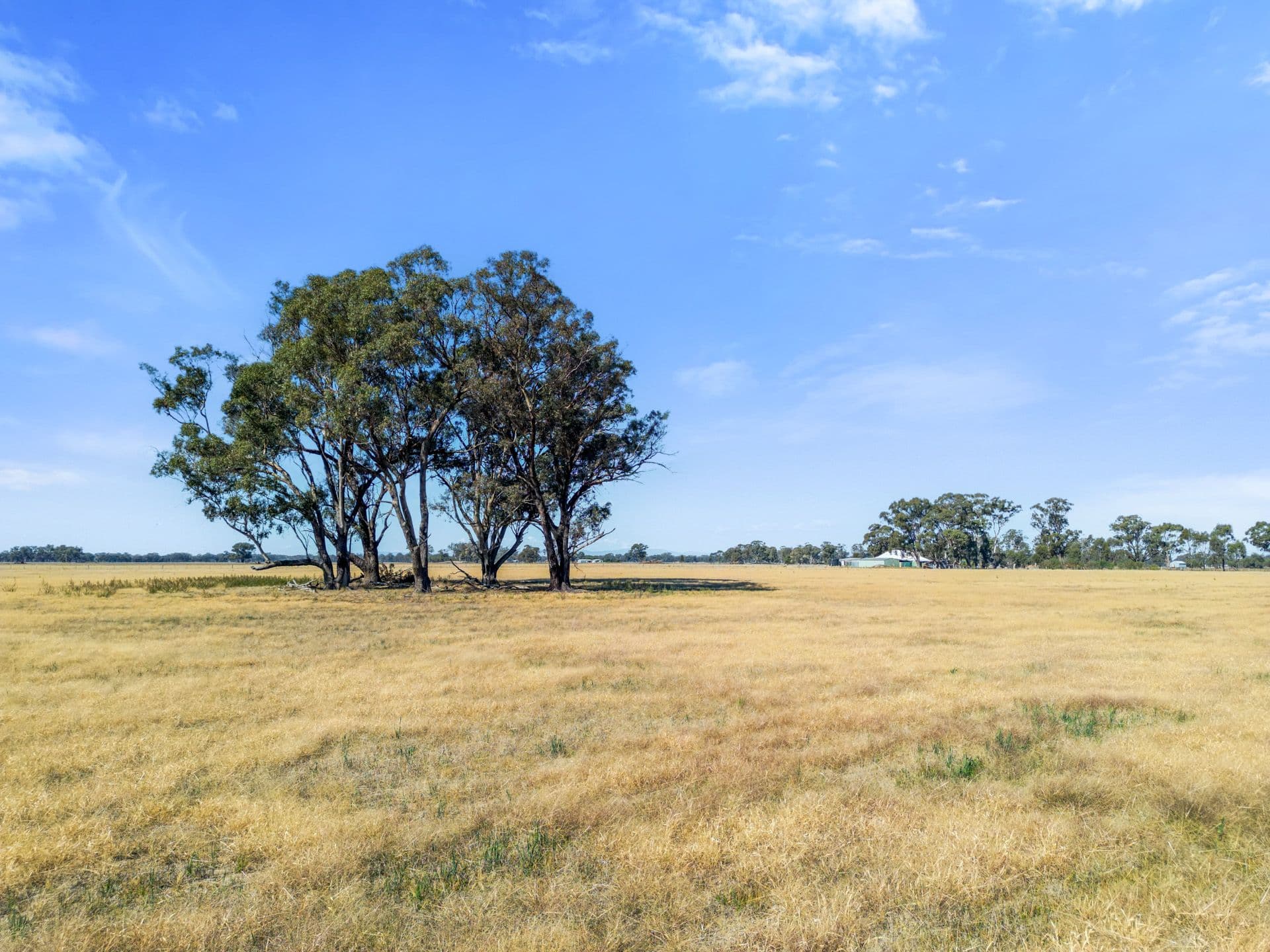 259 Geodetic Road, Miepoll VIC 3666, Miepoll - Thumbnail 4