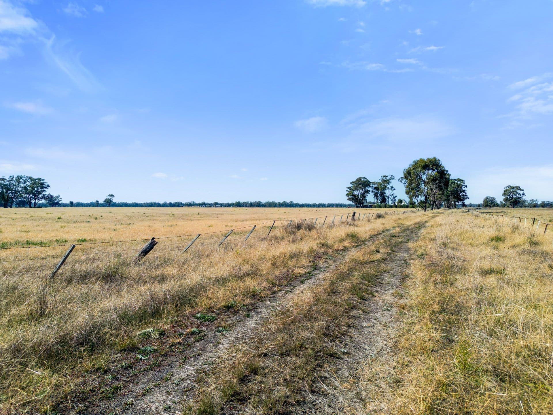 259 Geodetic Road, Miepoll VIC 3666, Miepoll - Thumbnail 7