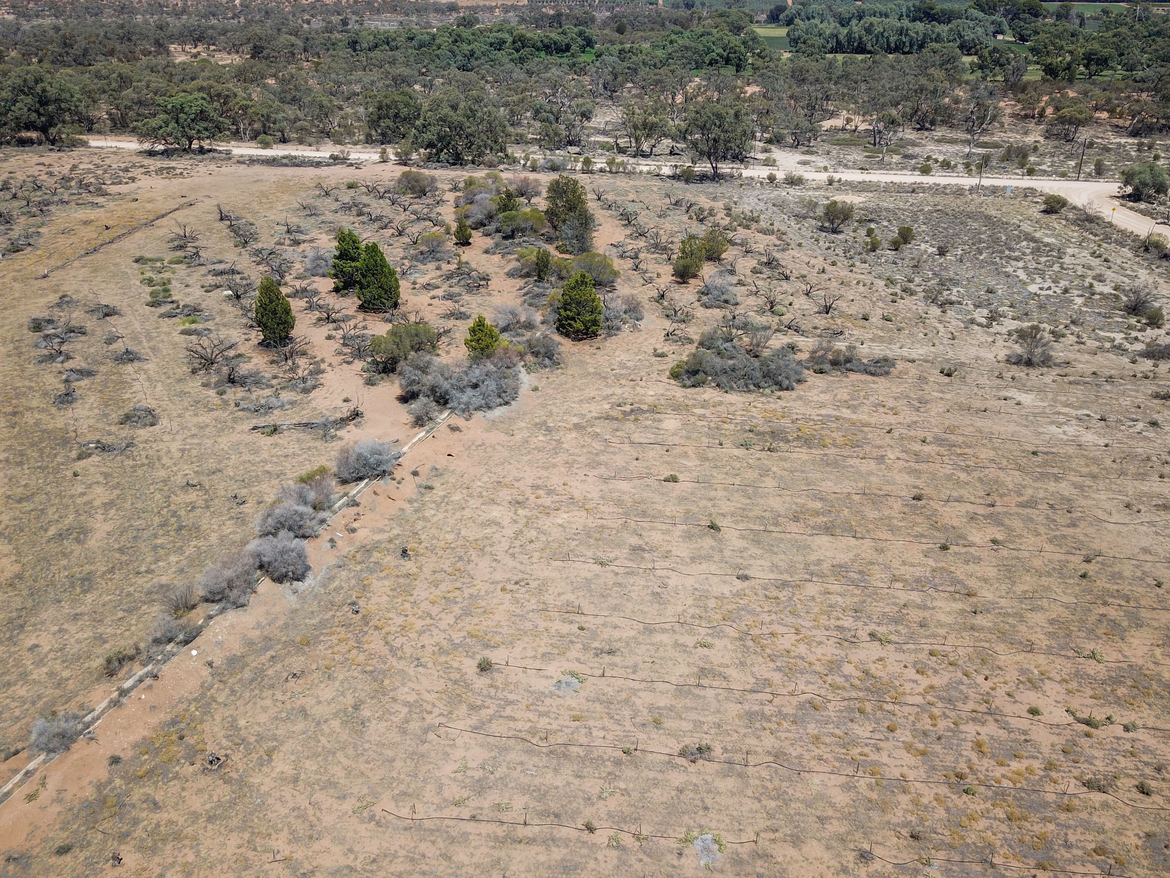 Section 66 Coats Road, Cadell SA 5321, Cadell - Thumbnail 4