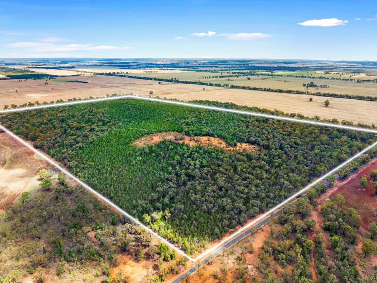 680 Schlunkes Road, TEMORA, Trungley Hall - Image 1