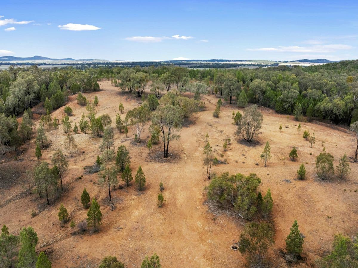 680 Schlunkes Road, TEMORA, Trungley Hall - Thumbnail 3