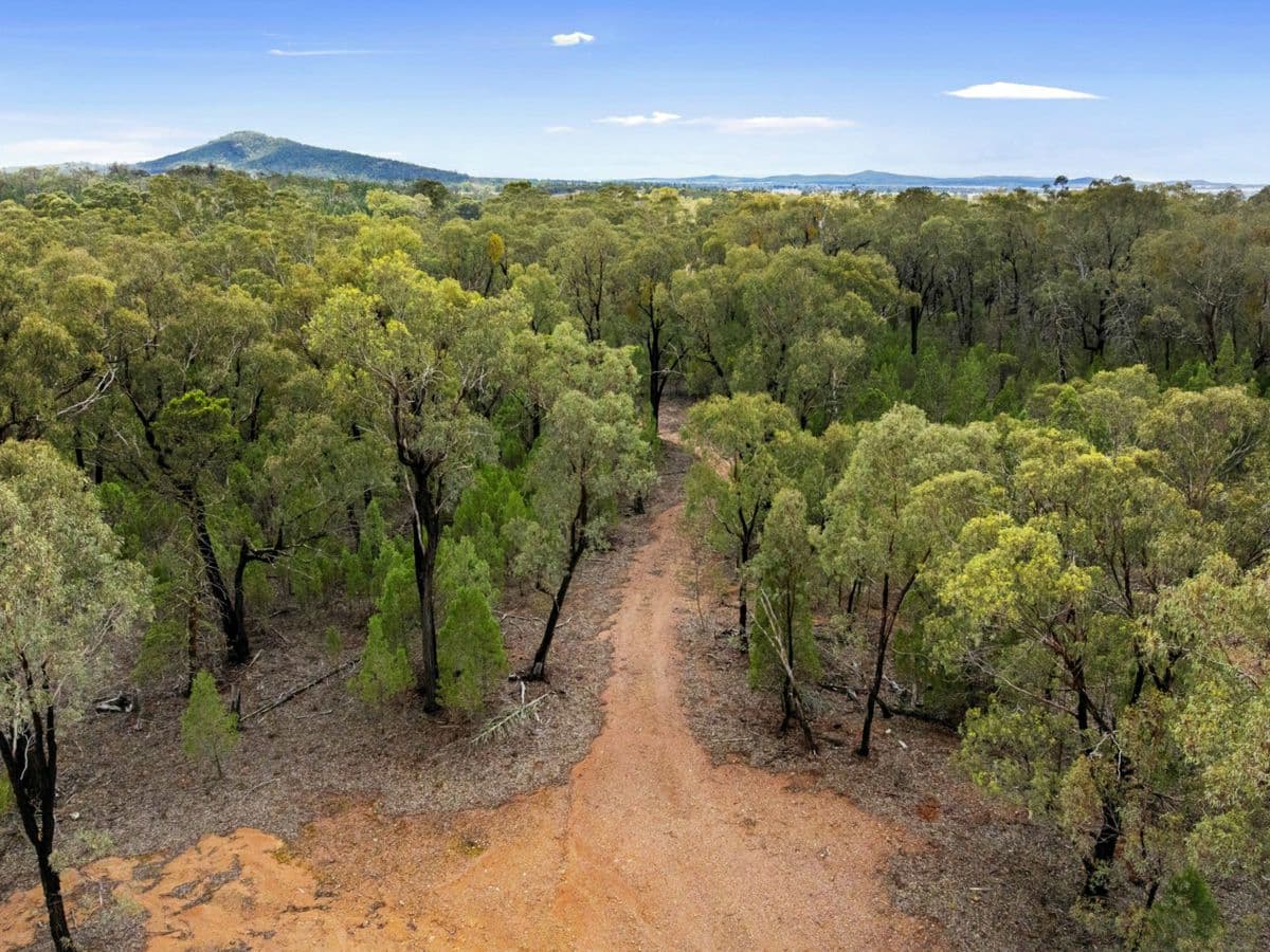 680 Schlunkes Road, TEMORA, Trungley Hall - Thumbnail 4
