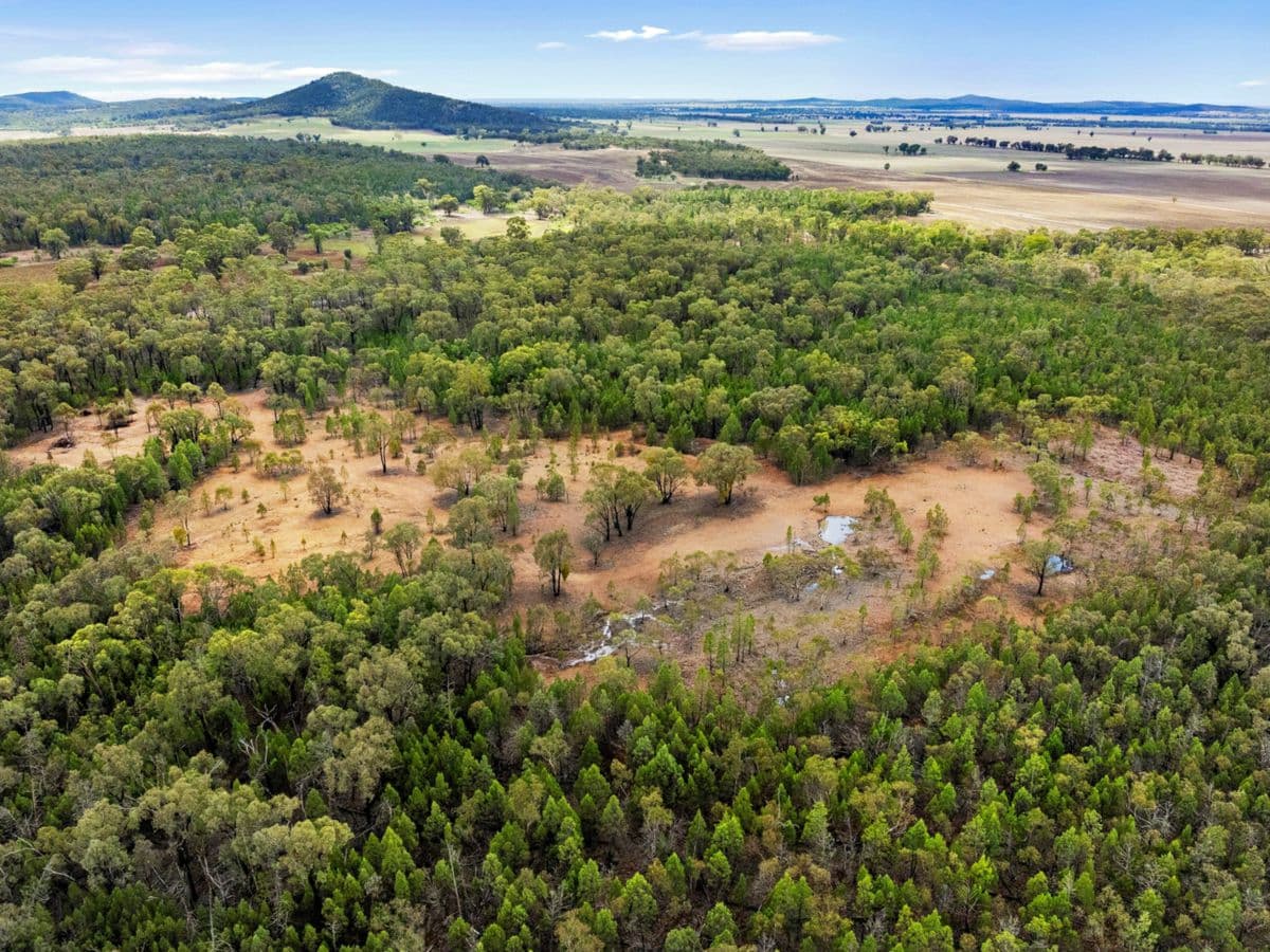 680 Schlunkes Road, TEMORA, Trungley Hall - Thumbnail 5