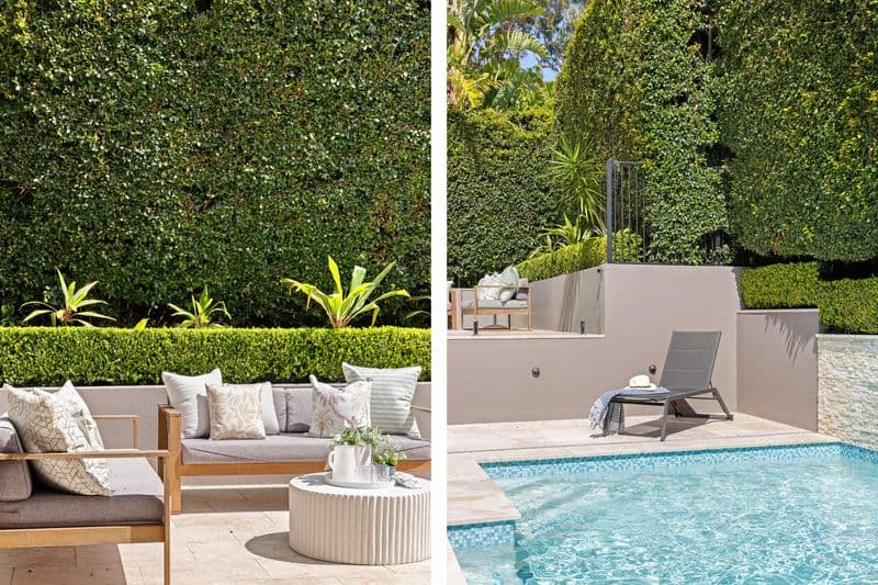 12 Curban Street, Balgowlah Heights - Thumbnail 7