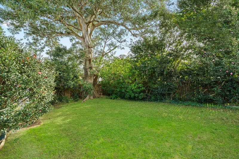 69 Allambie Road, Allambie Heights - Thumbnail 6