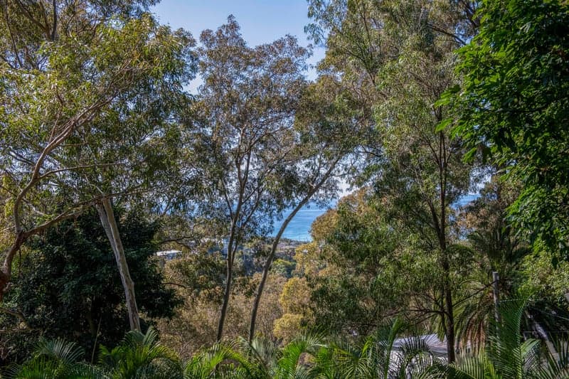 52 Grandview Drive, Newport - Thumbnail 6