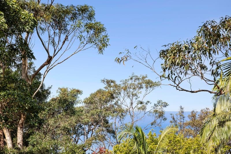 6 York Terrace, Bilgola Plateau - Thumbnail 6