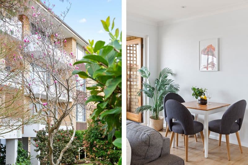 7/448 Sydney Road, Balgowlah - Thumbnail 4