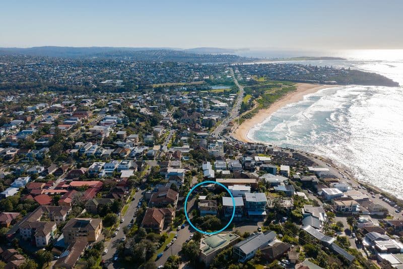 1/7 Seddon Hill Road, Freshwater - Thumbnail 8