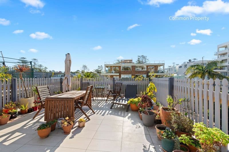 5/41 Ashburner Street, Manly - Thumbnail 5