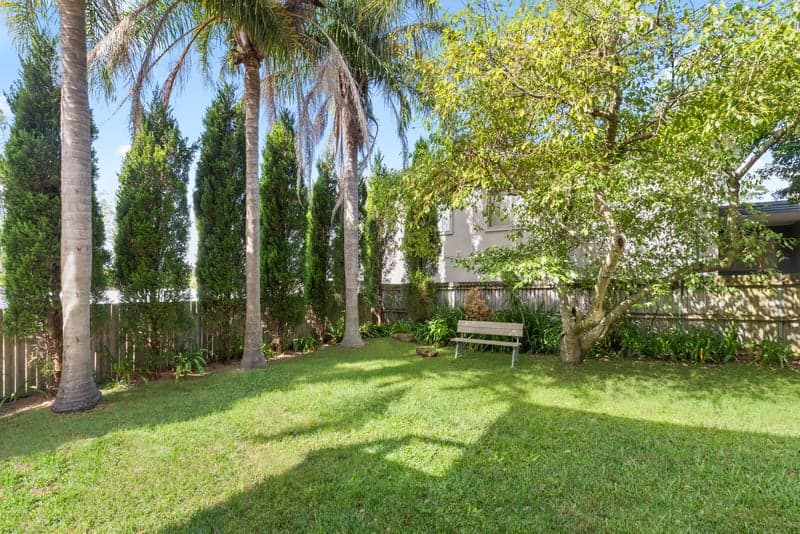 33 Kenneth Road, Manly Vale - Thumbnail 5