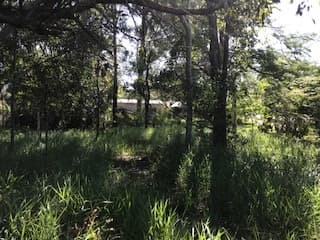 50 – 56 Wellington St, Ormiston, QLD, 4160, Ormiston - Thumbnail 3