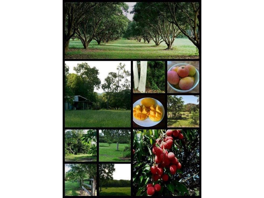 Lot 2 Knowles Road, COOLBIE, QLD, 4850, Coolbie - Thumbnail 2