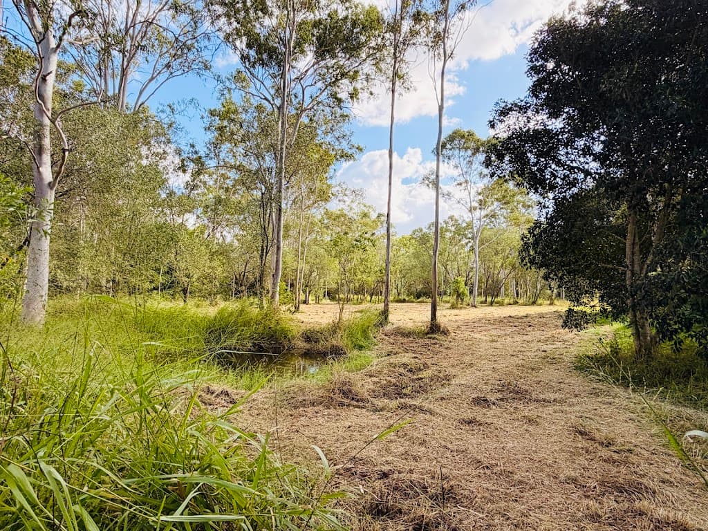 9 Gentle Annie Road, Apple Tree Creek, QLD, 4660, Apple Tree Creek - Thumbnail 4