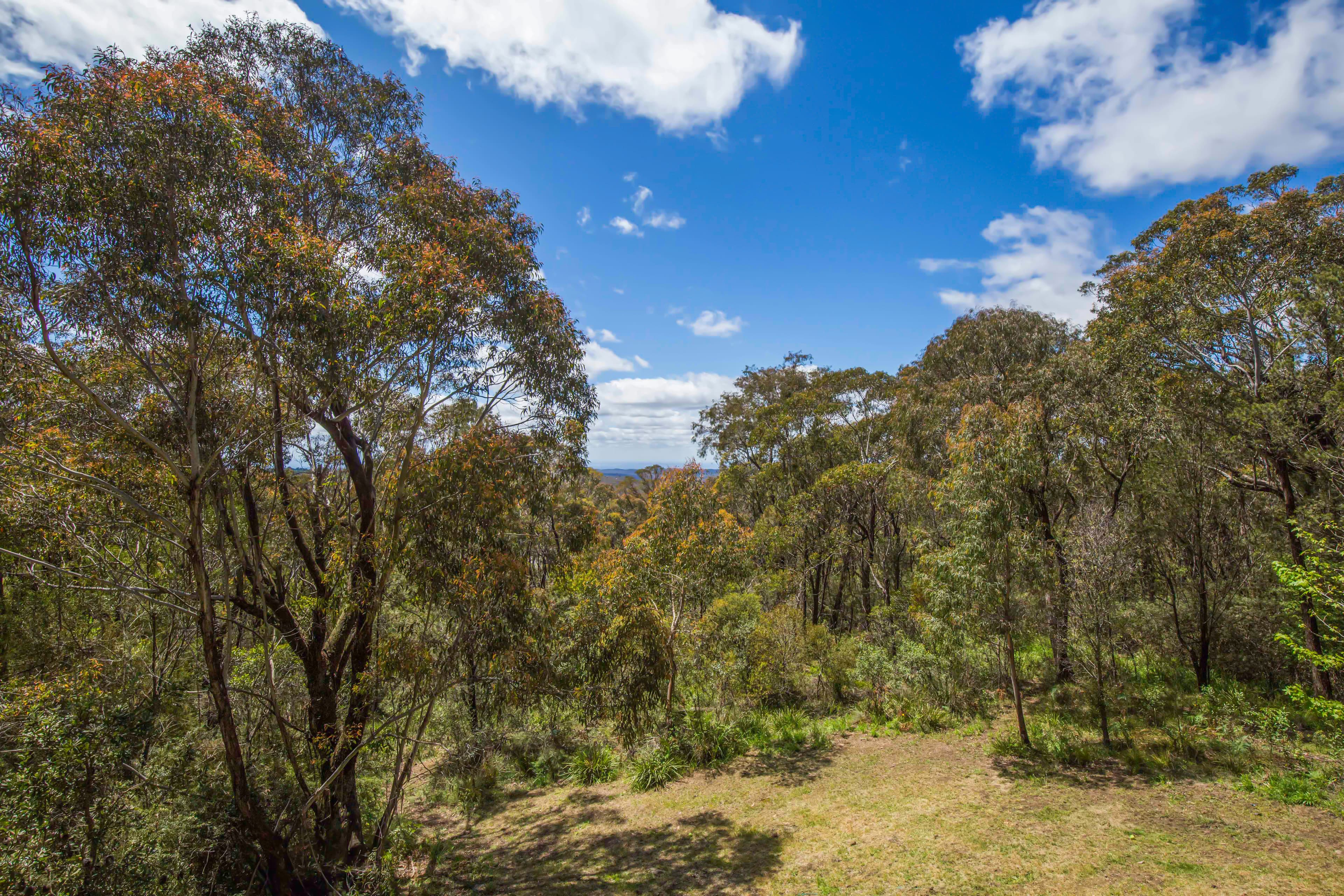 16 Miller Street, WENTWORTH FALLS, Wentworth Falls - Thumbnail 7
